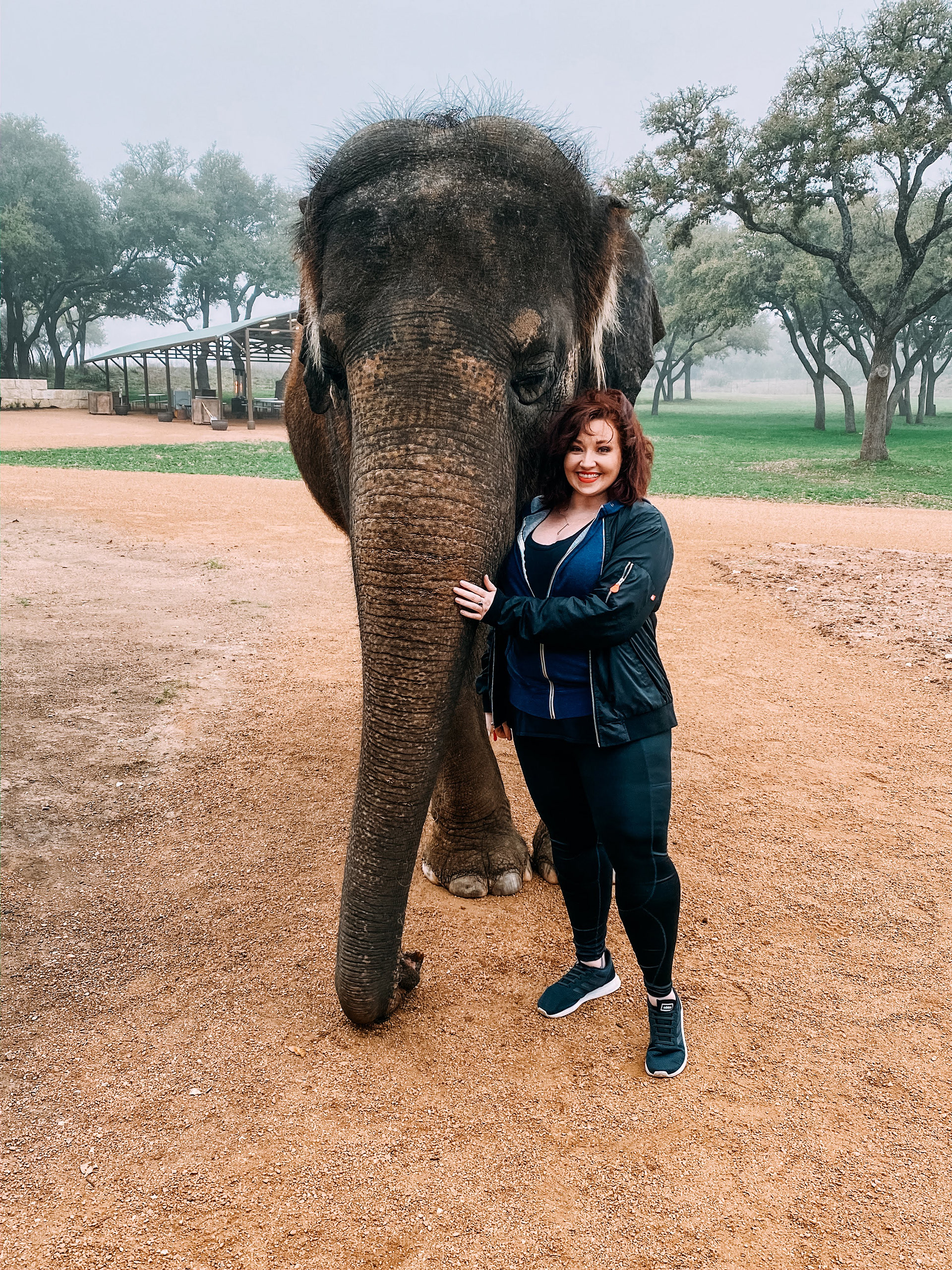 Rescued Elephant Sanctuary