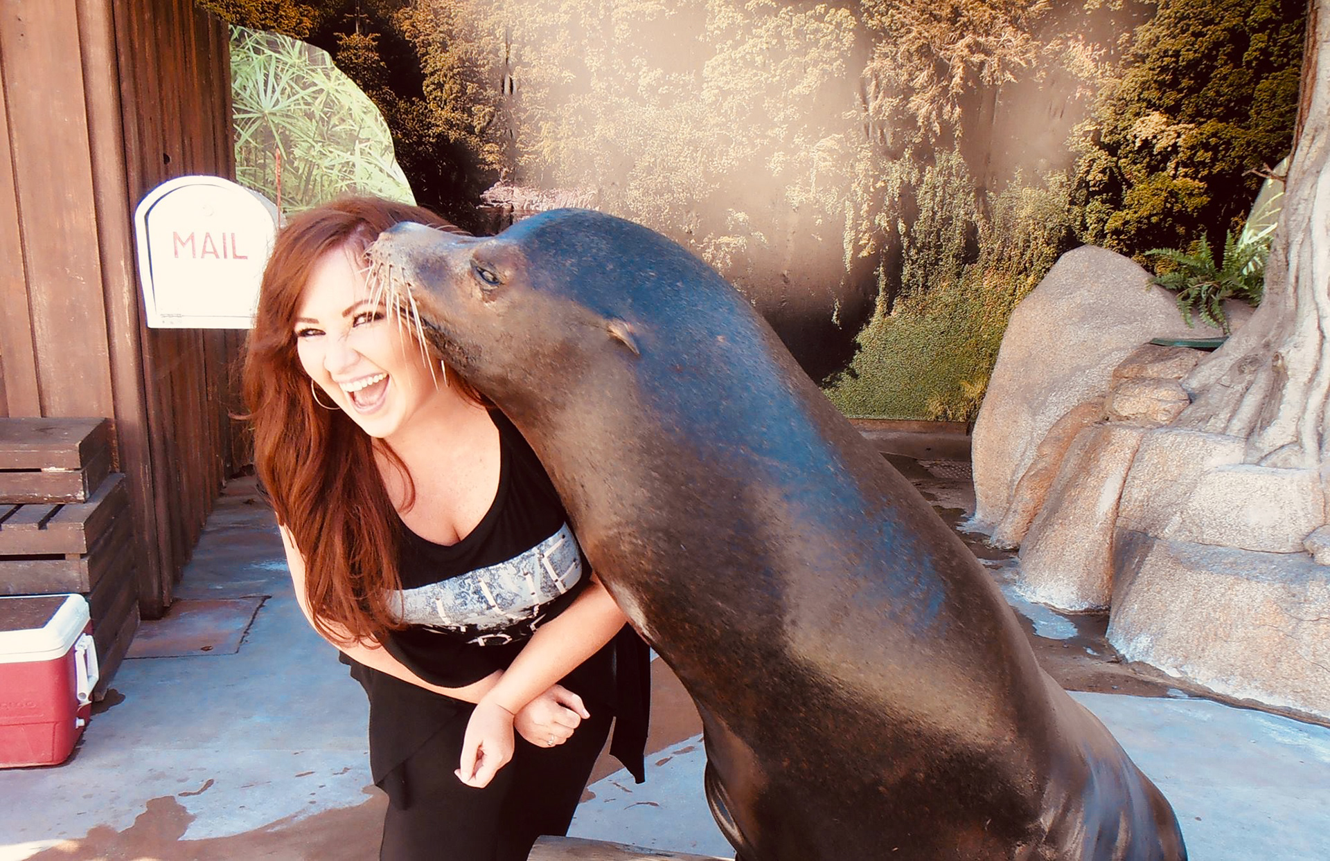 Jake the Sea Lion