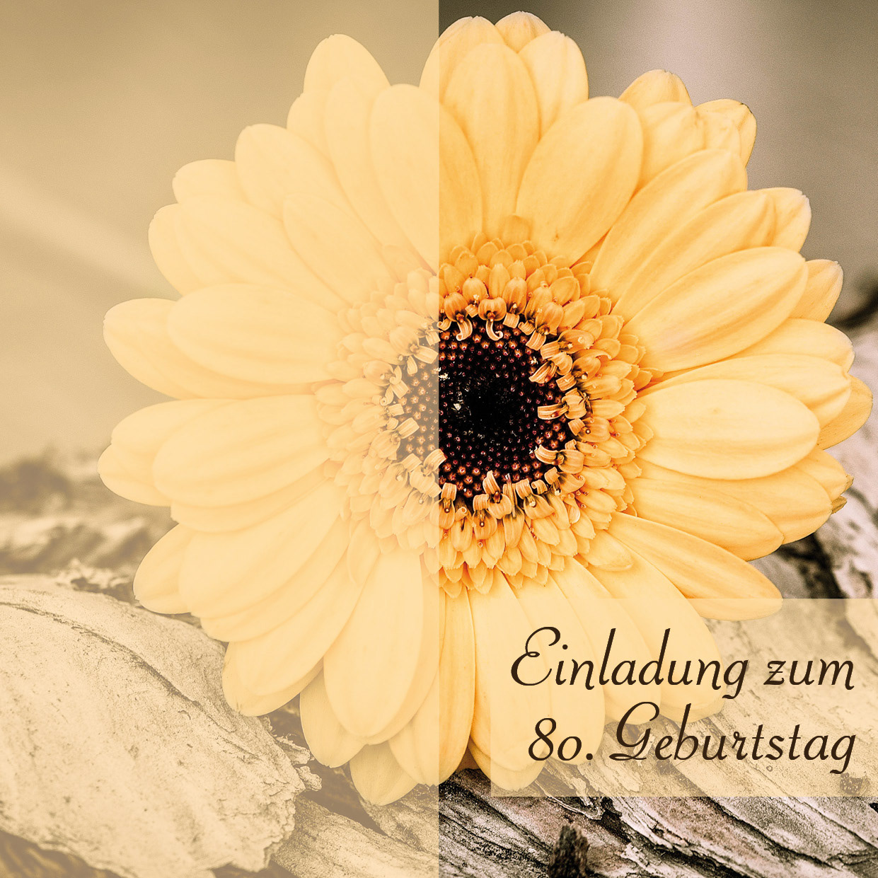 Flyer DIN lang Vorder- und Rückseite aufgeklappt