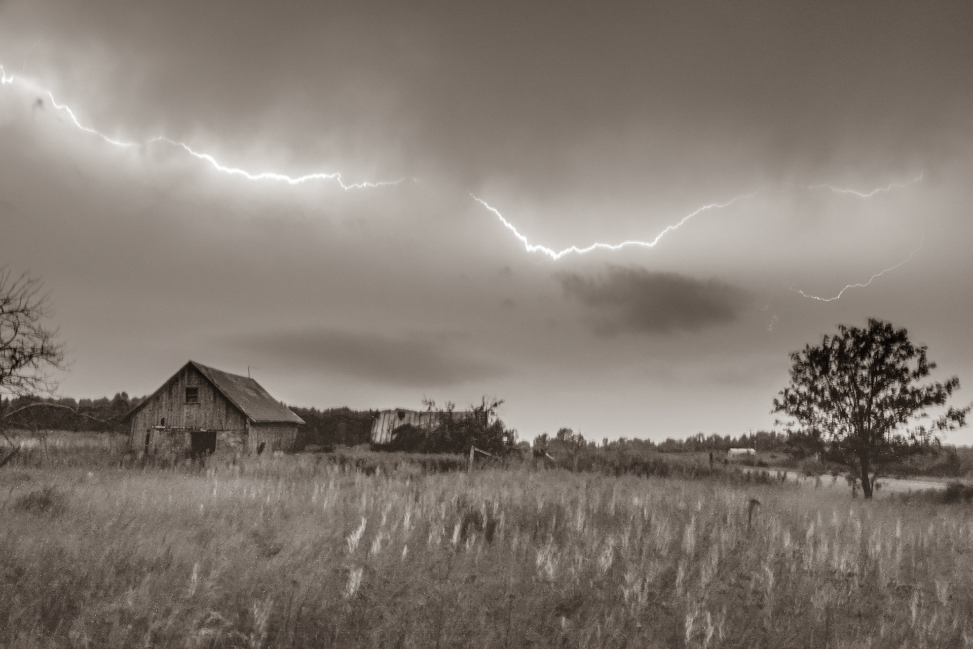 Crosswinds Marsh | New Boston, MI