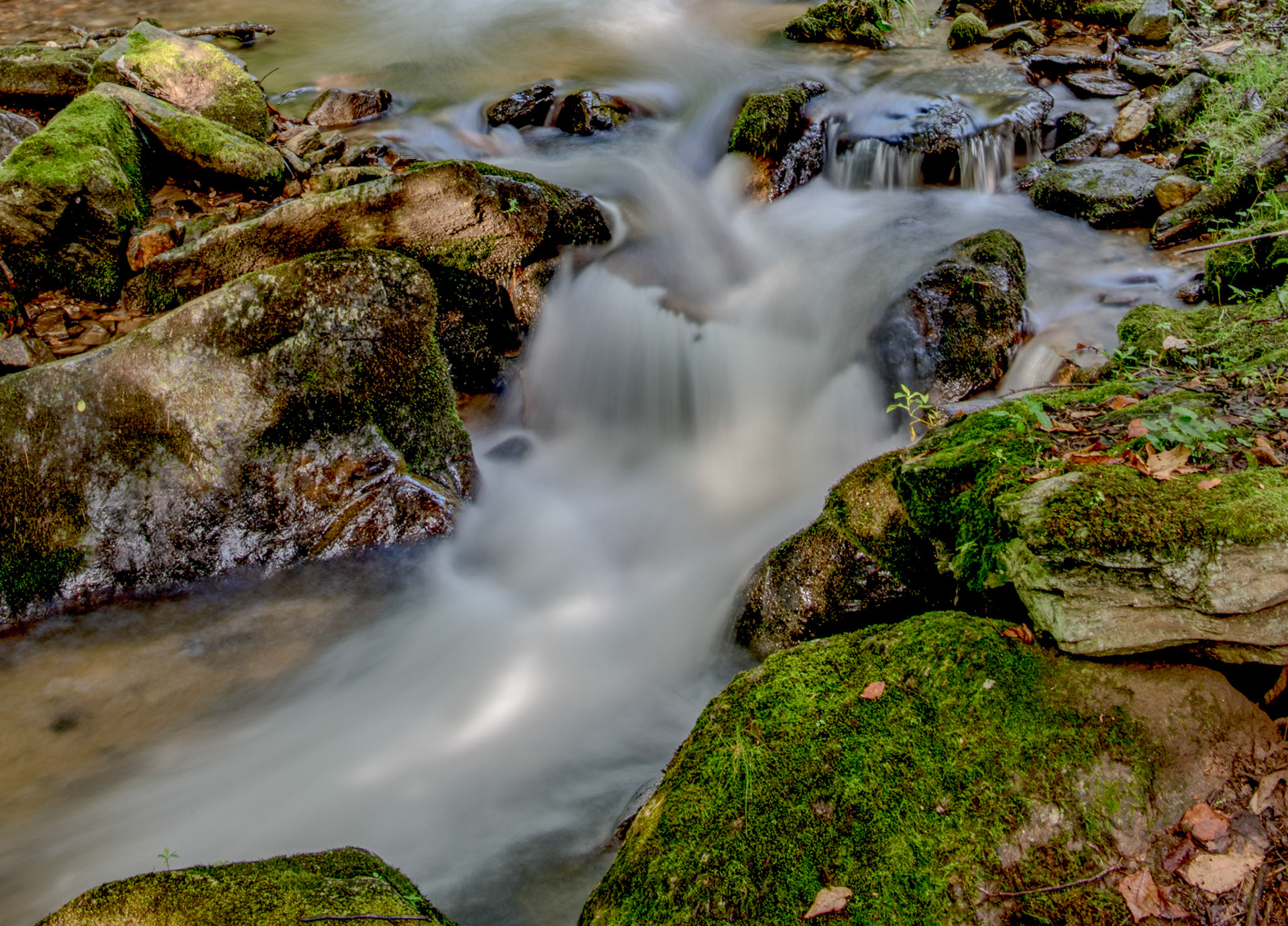 Smoky Mountains | North Carolina