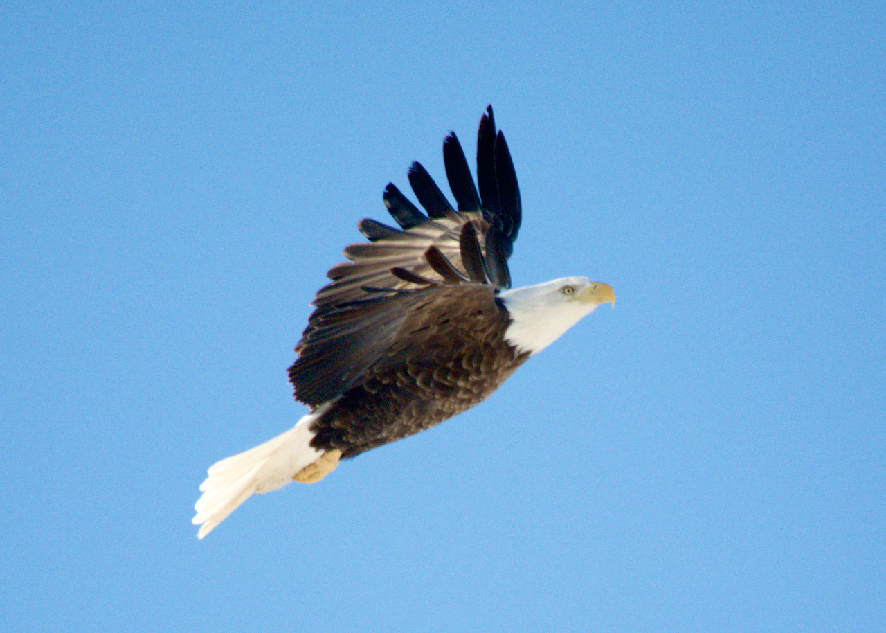 Lake Erie Metro Park
