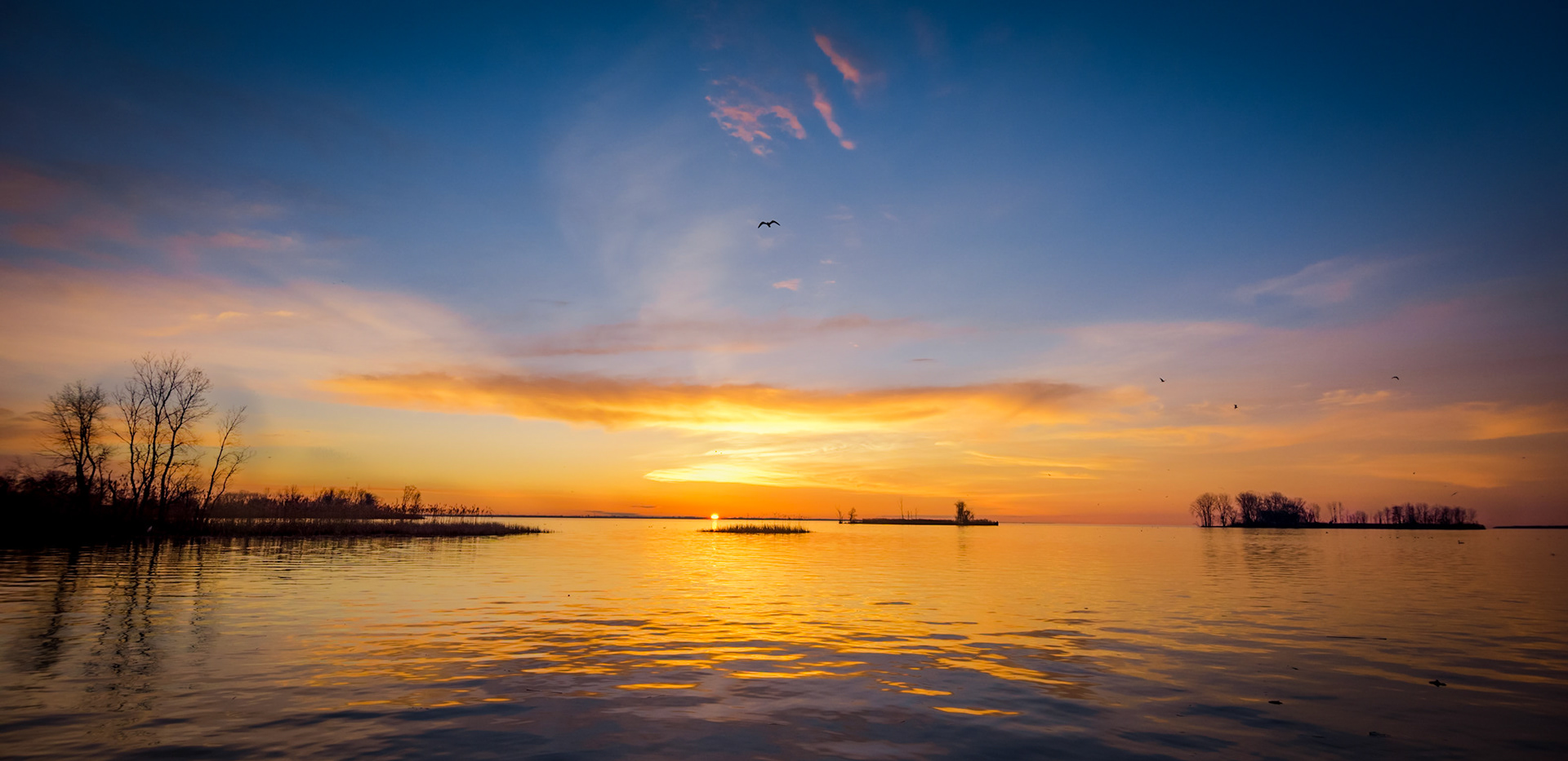 Lake Erie Metropark | Gibraltar, MI