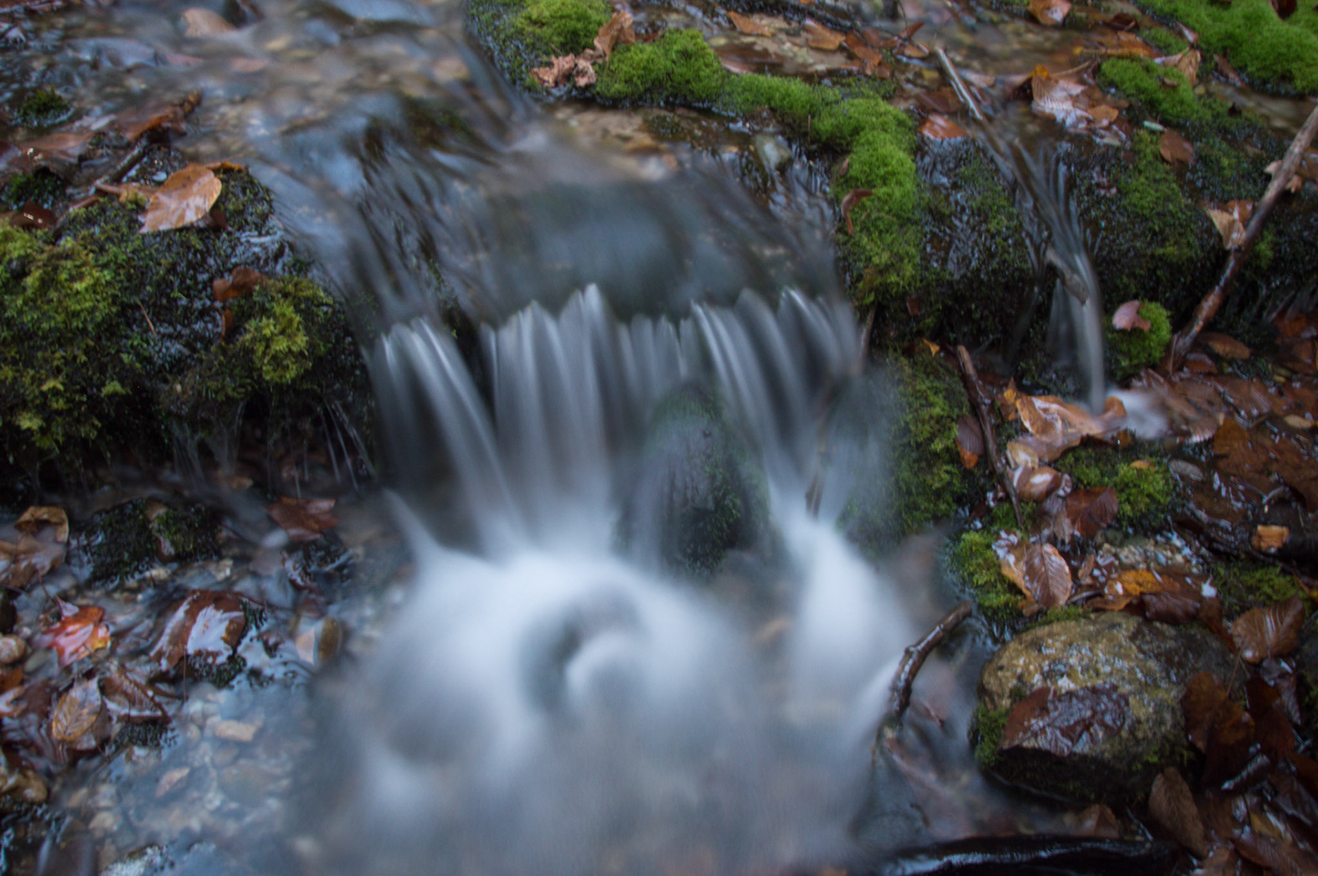 Iargo Springs | Oscoda, MI
