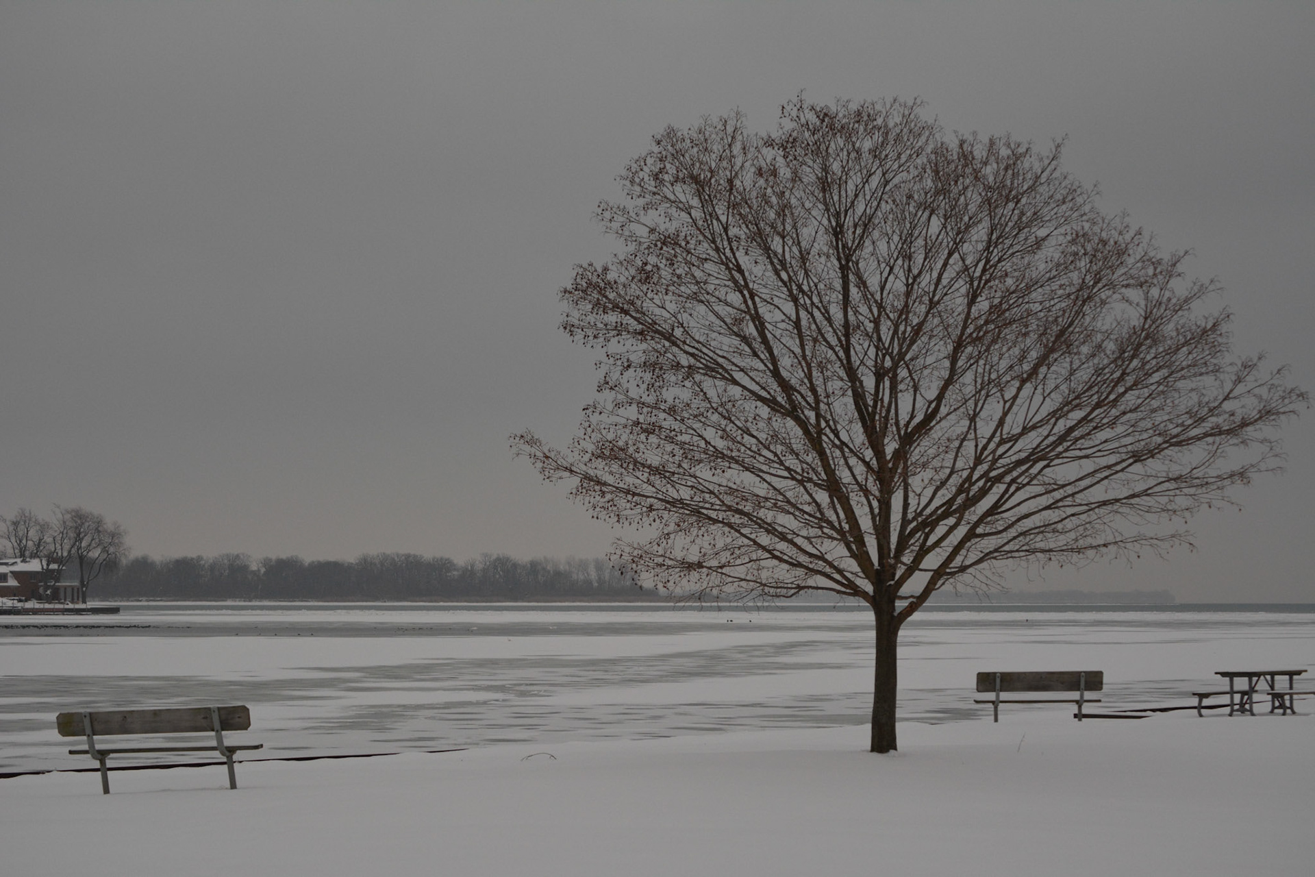 Lake Erie Metropark | Gibraltar, MI