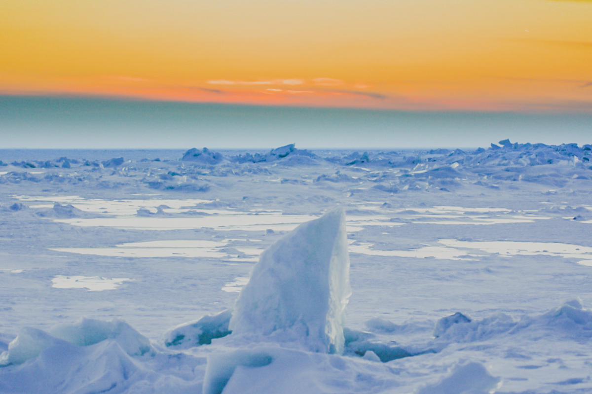 Point Pelee | Ontario, Canada