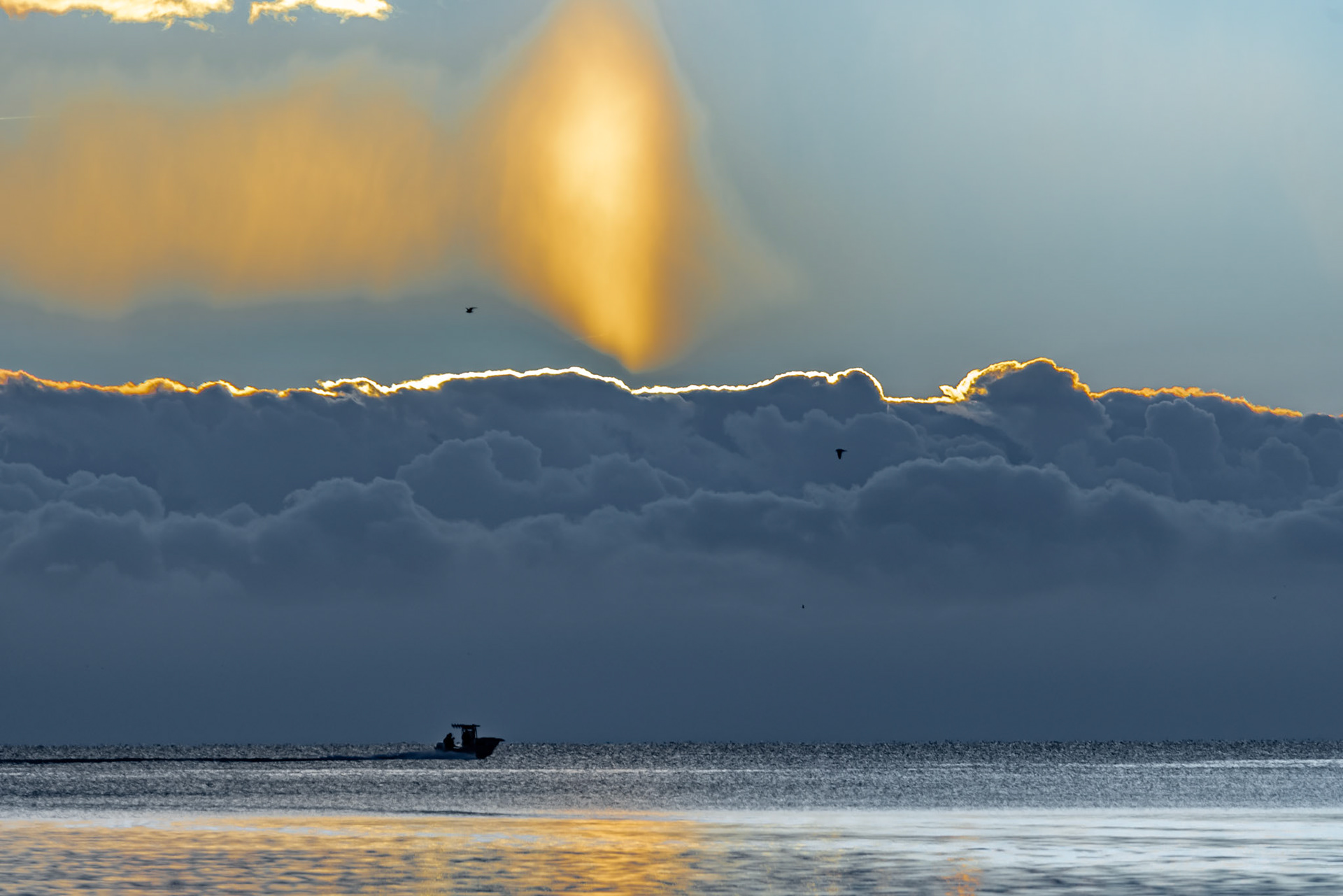 Gulf of Alaska