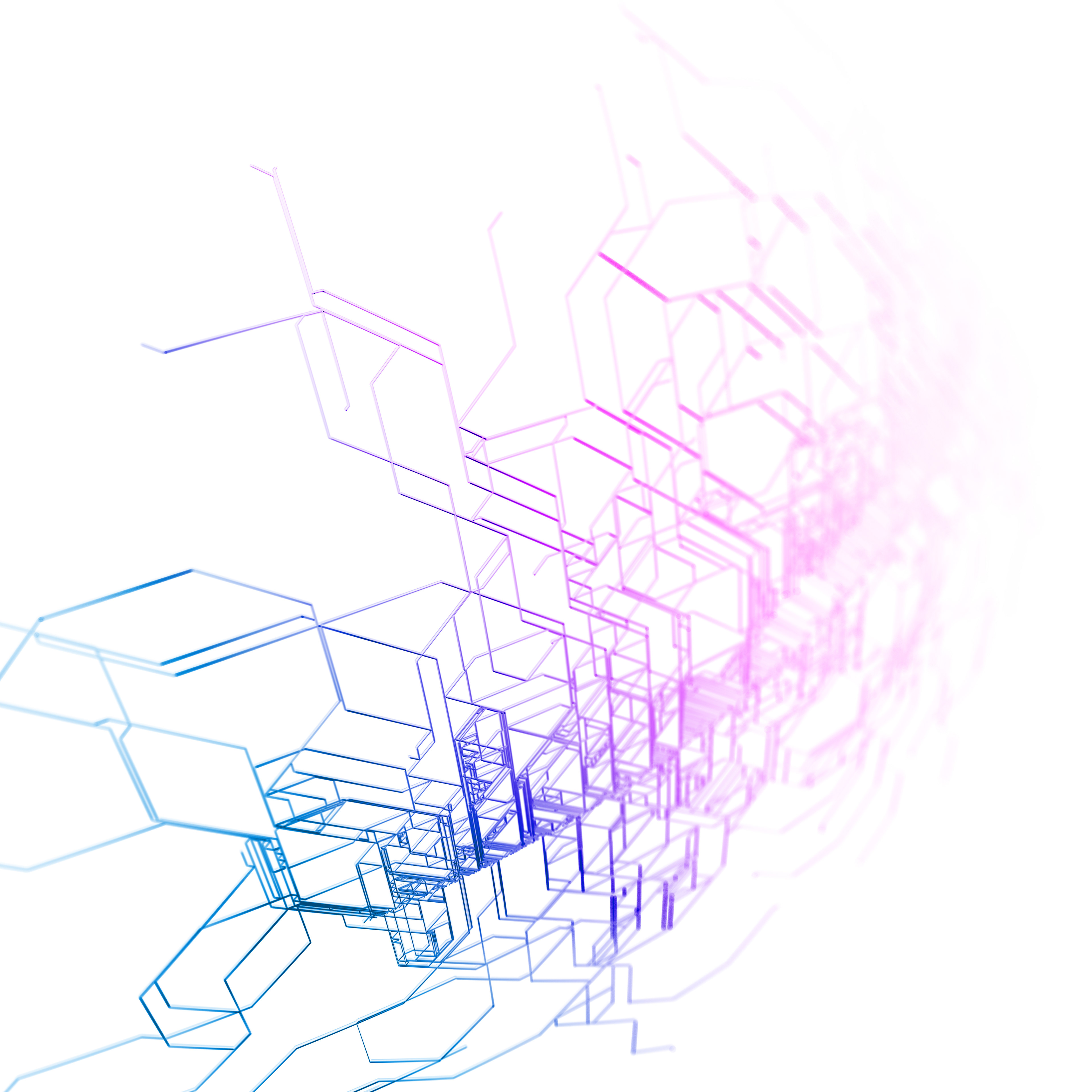 Paths
