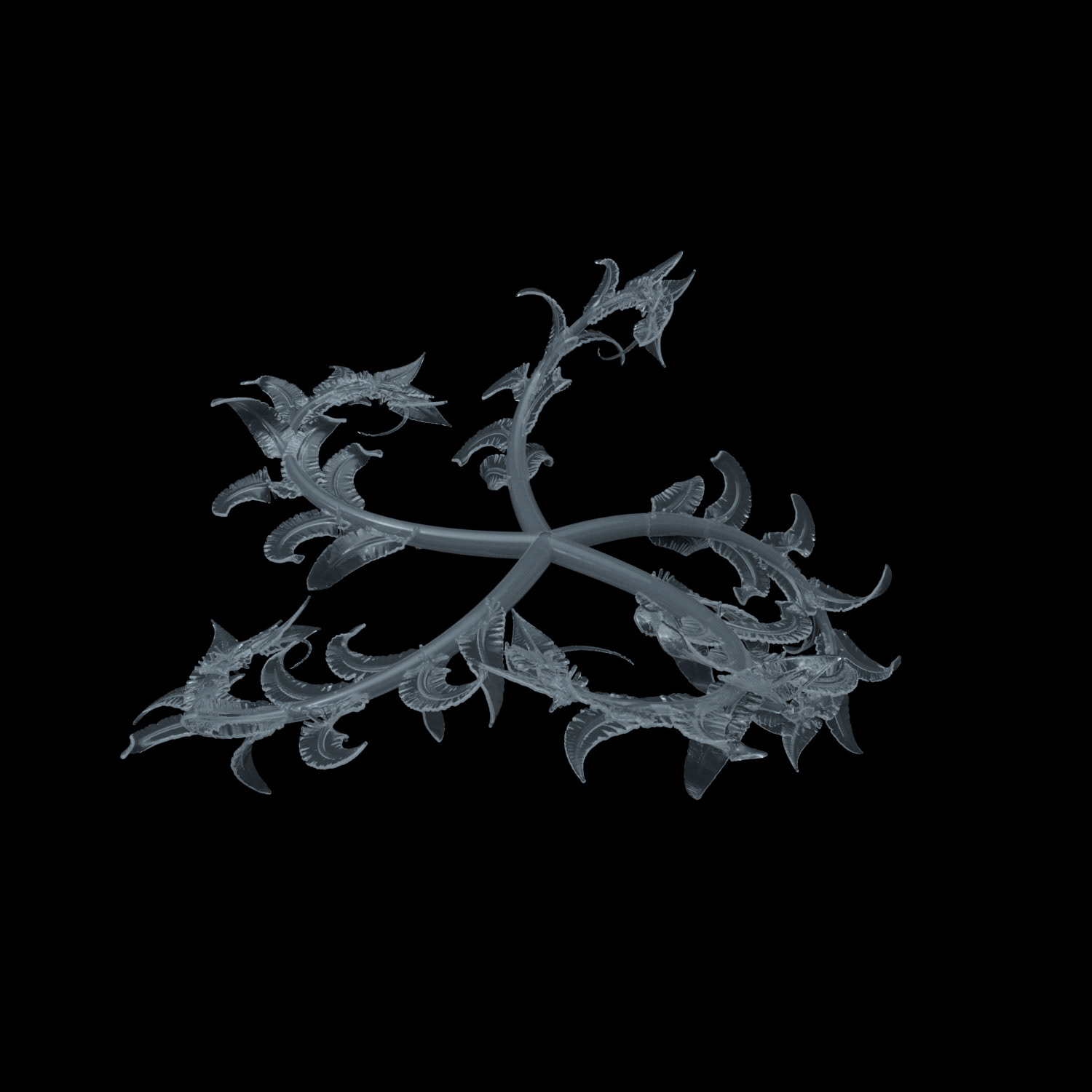 Fragile Growth