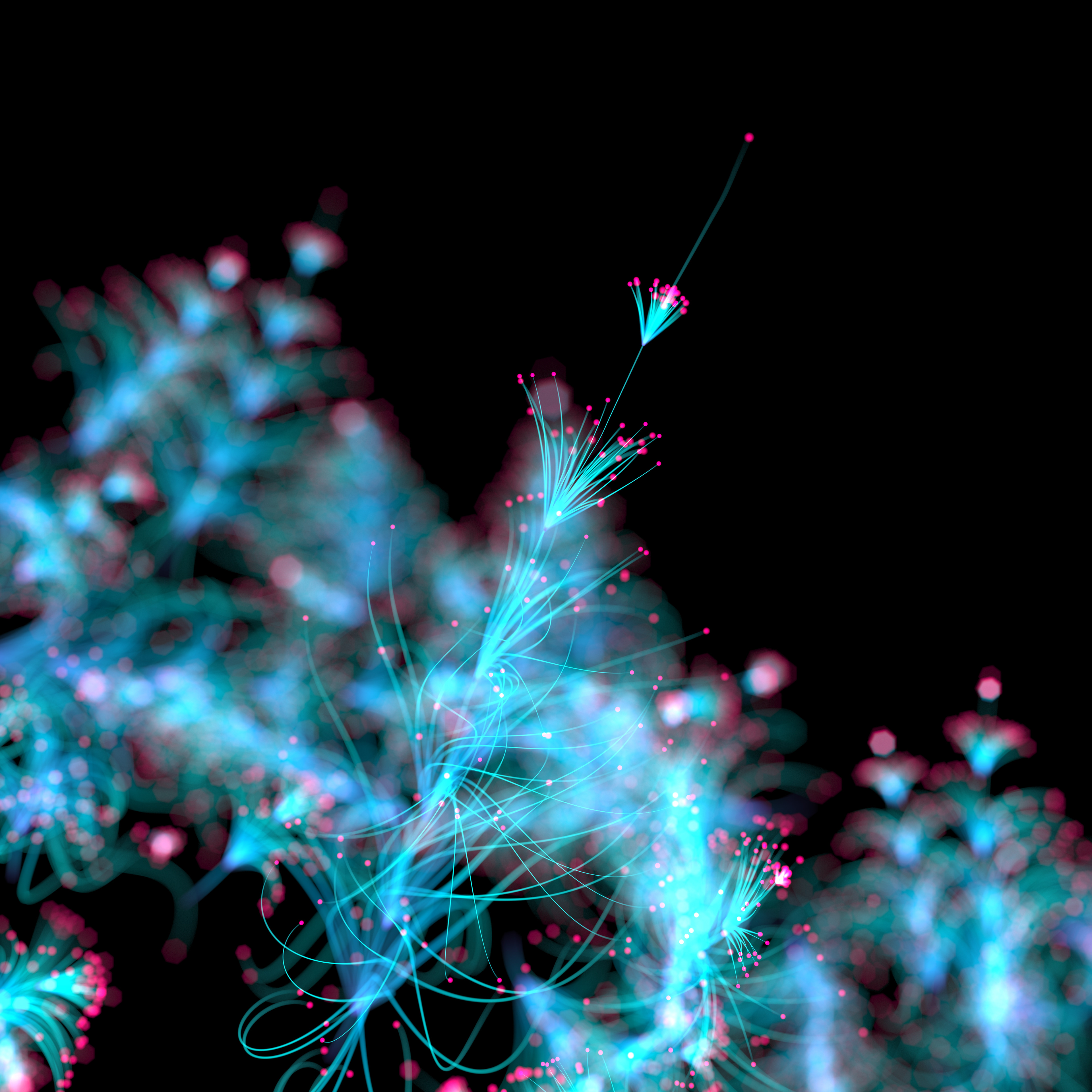 Neon Bloom