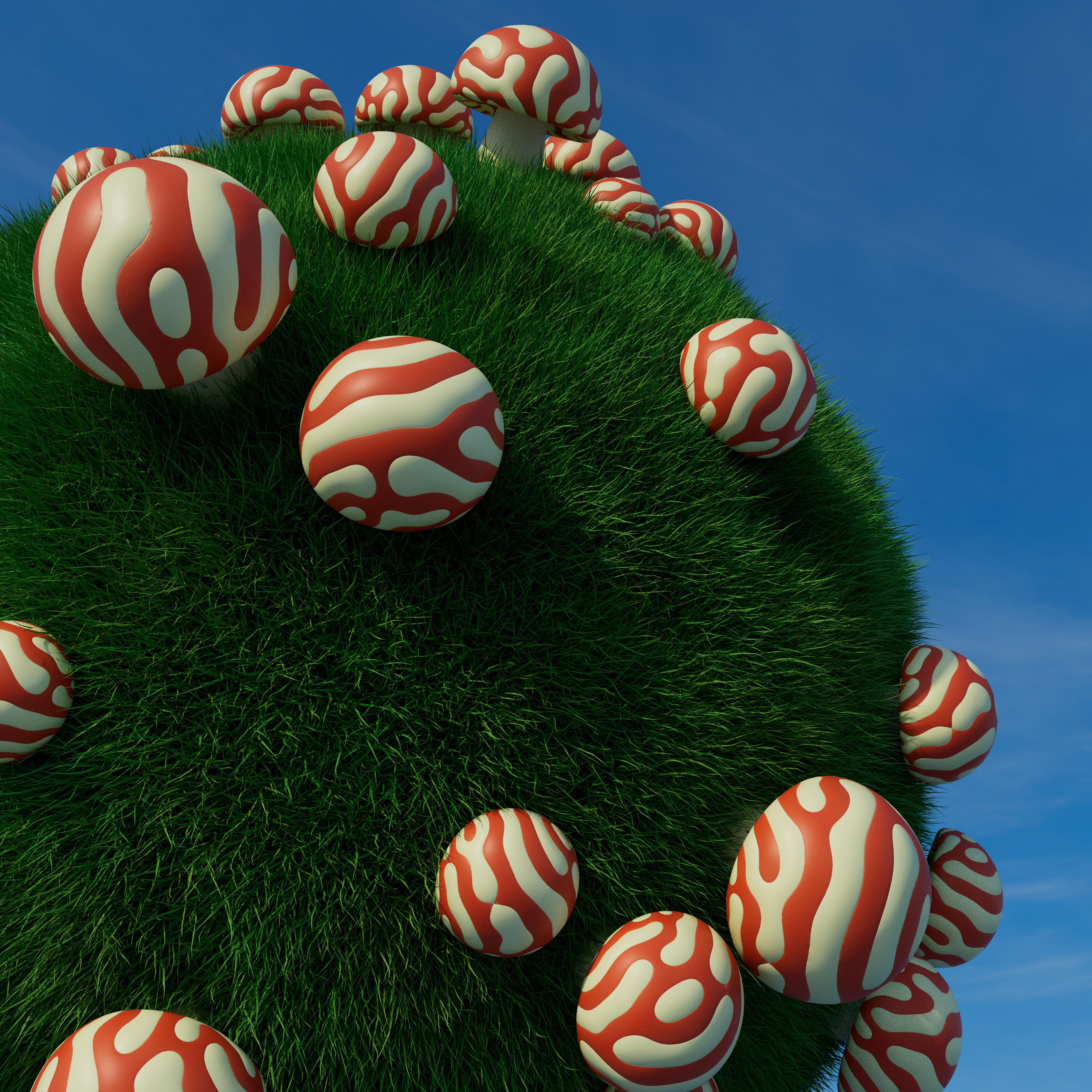 Fungus Ball