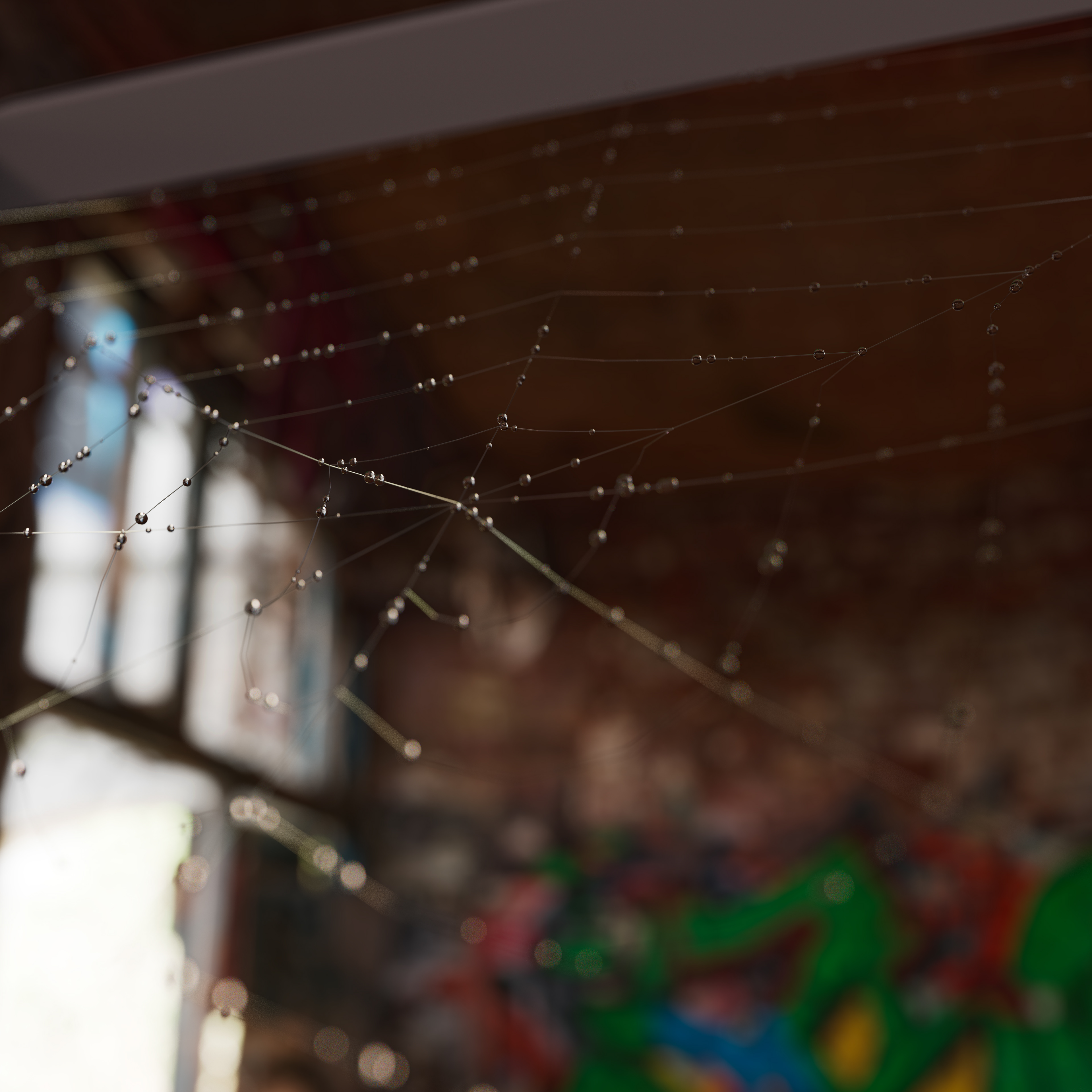 Charlotte's Web