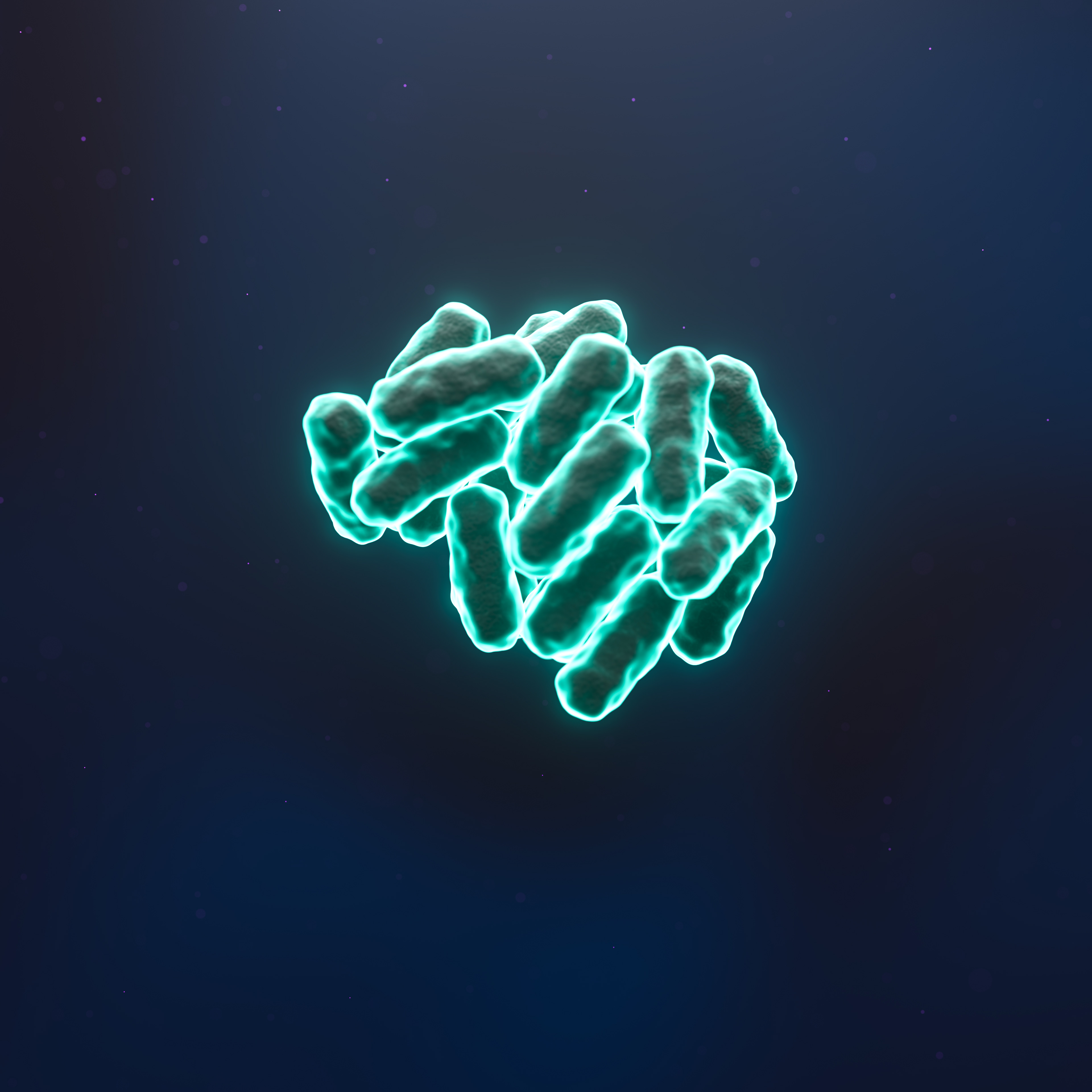 Fluorescent Bacteria