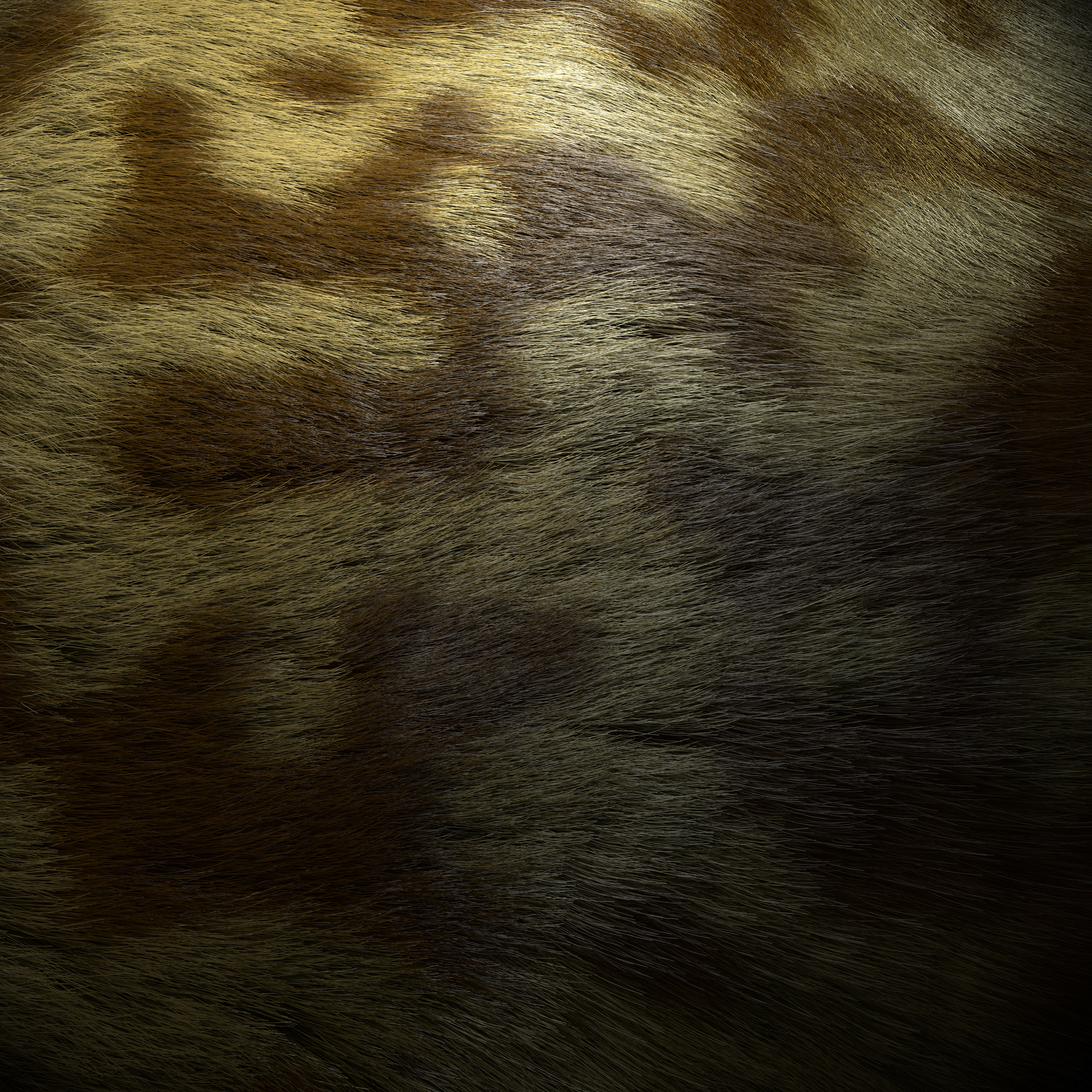 Wild Thing
