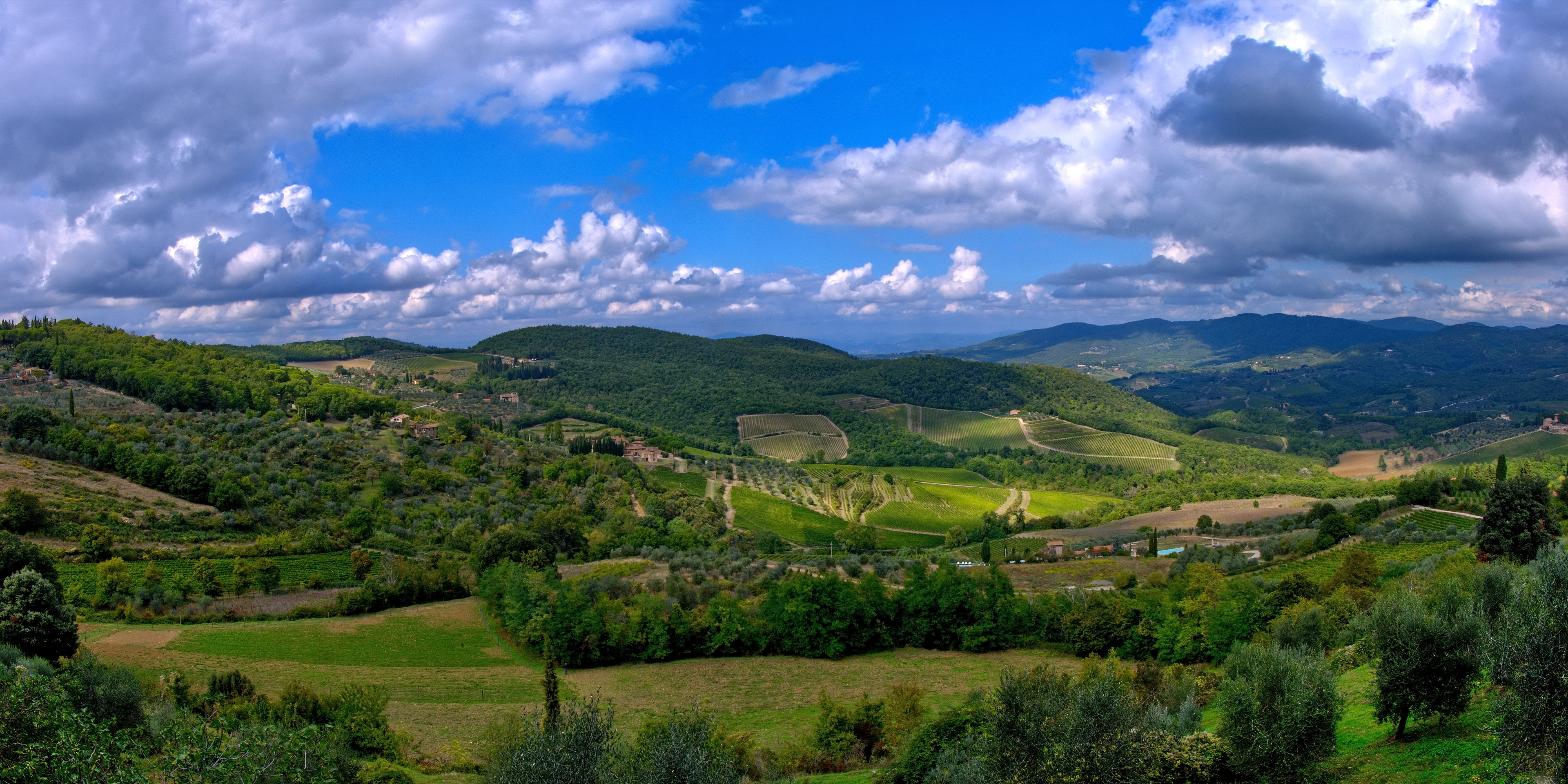 Chianti Landscape