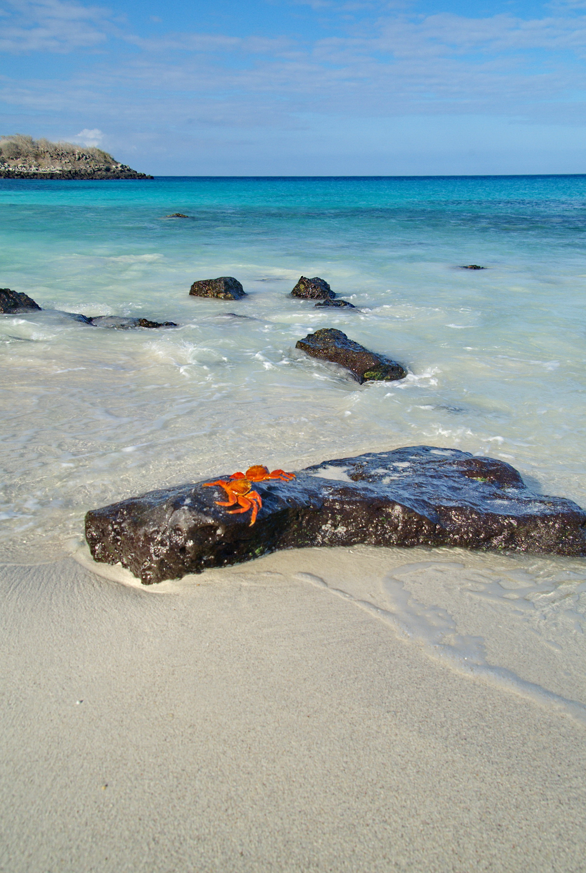 Espanola Island - San Cristóbal, Galapagos, Ecuador