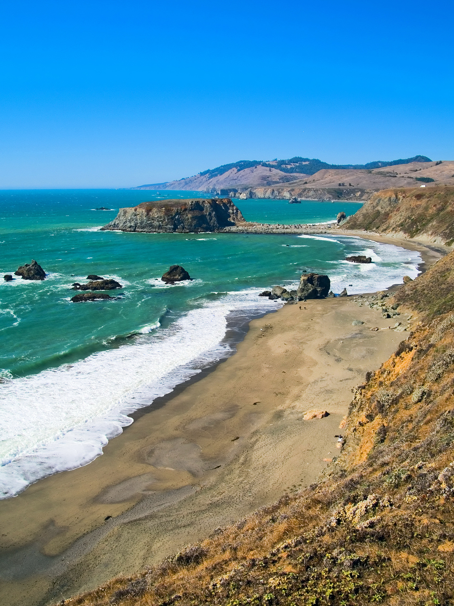 Goat Rock Beach, California