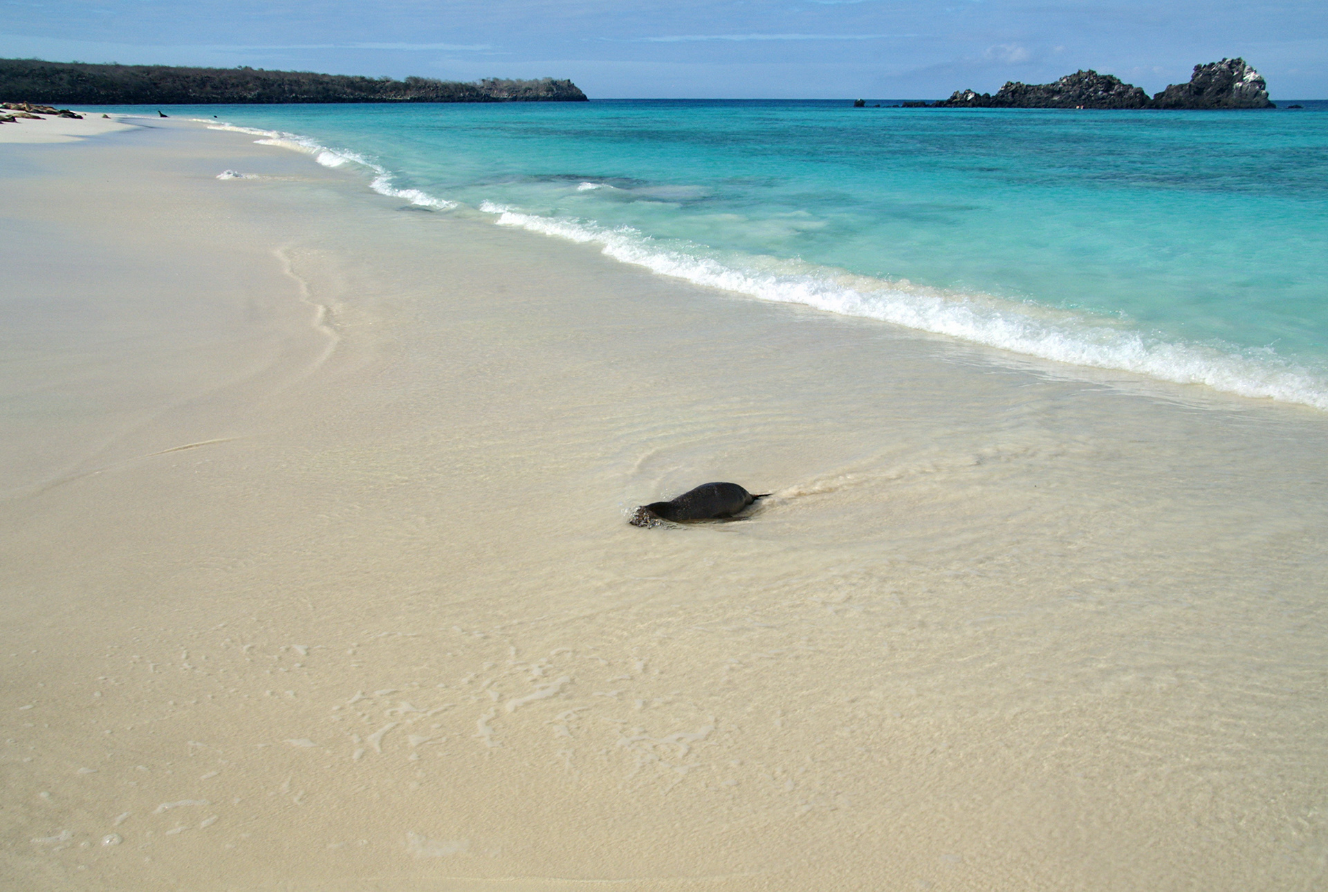 Espanola Island - San Cristóbal, Galapagos, Ecuador