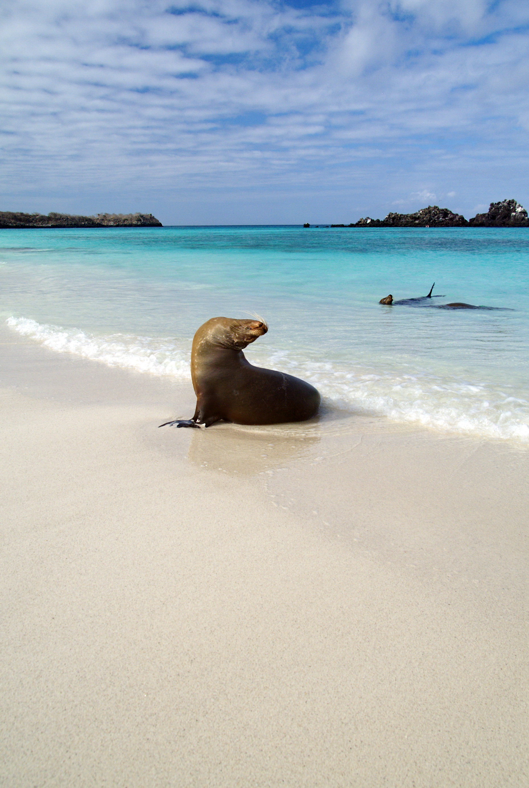 Espanola Island - San Cristóbal, Galapagos, Ecuador