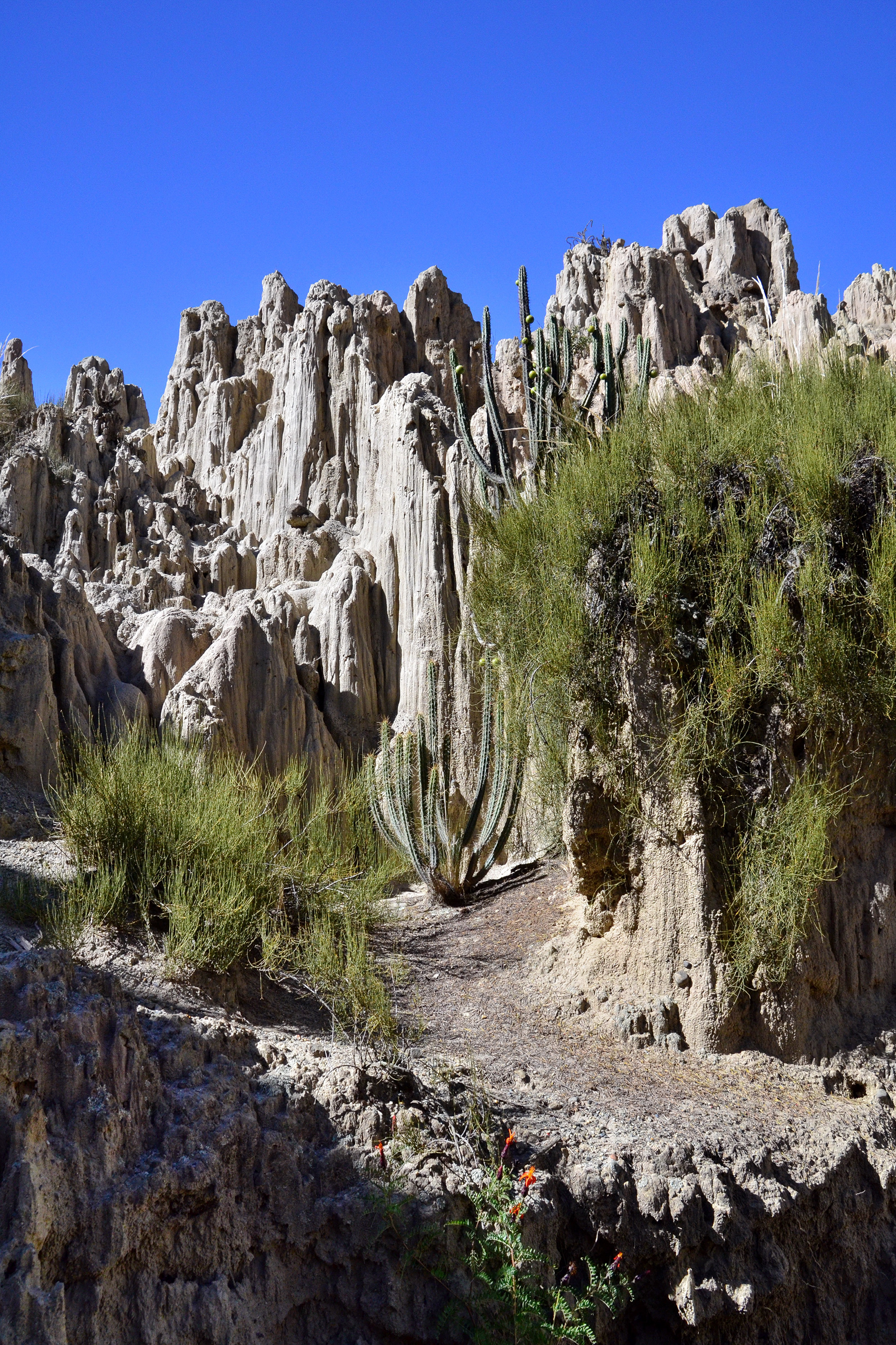Valle de la Luna - La Paz, Bolivia