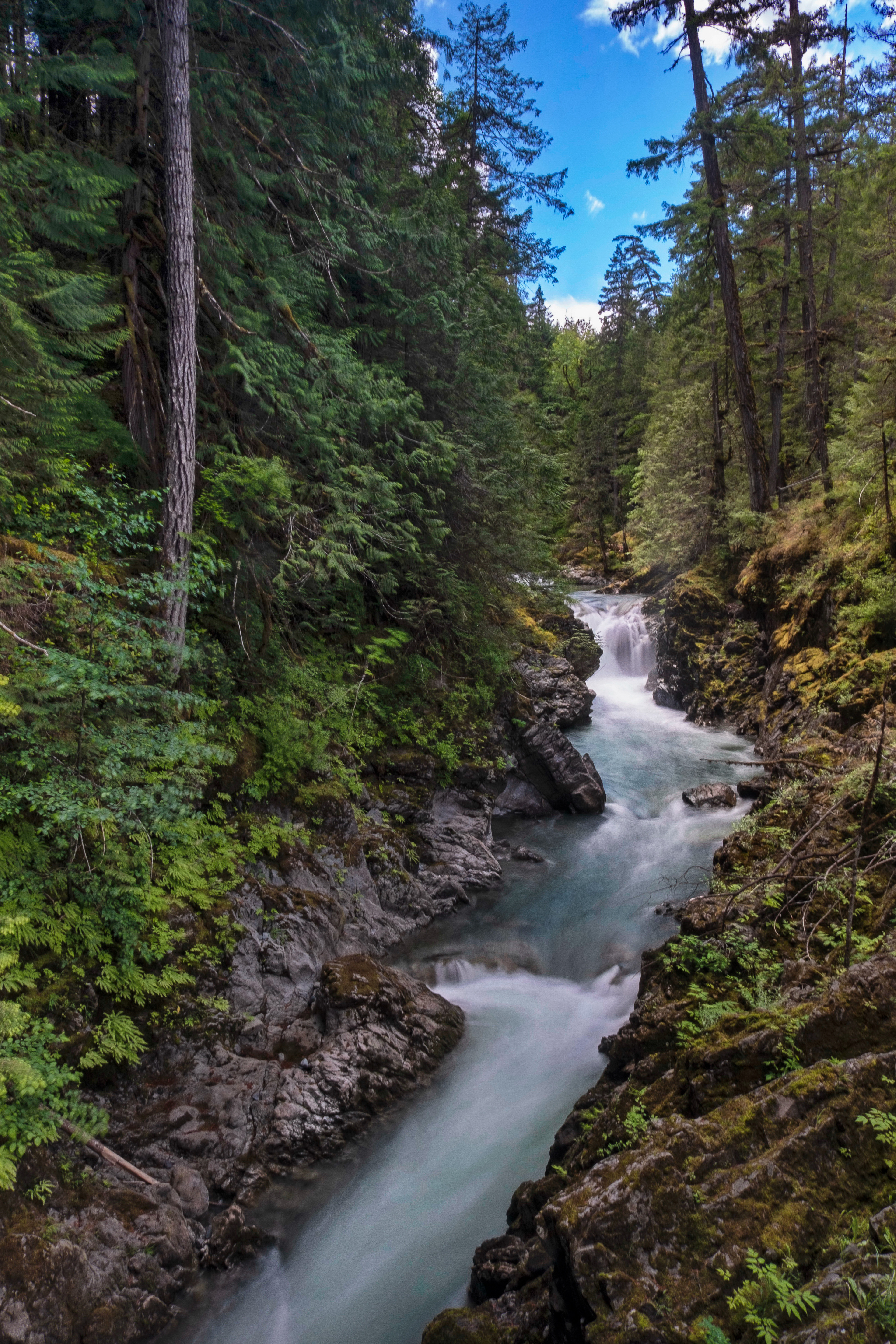 Qualicum Falls, Nanaimo, BC