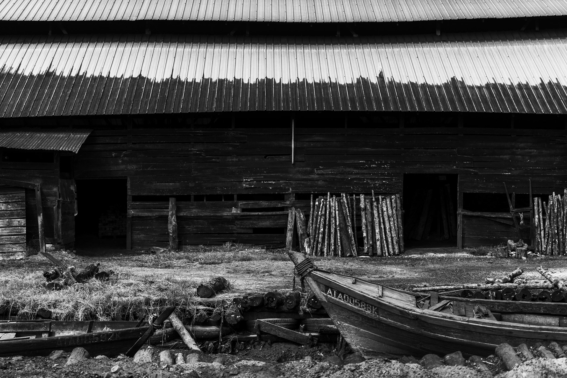 A Second Life in Smoke and Sea