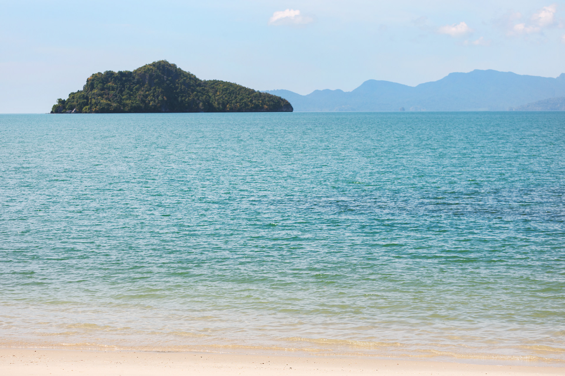 Where the Sea Holds Its Light