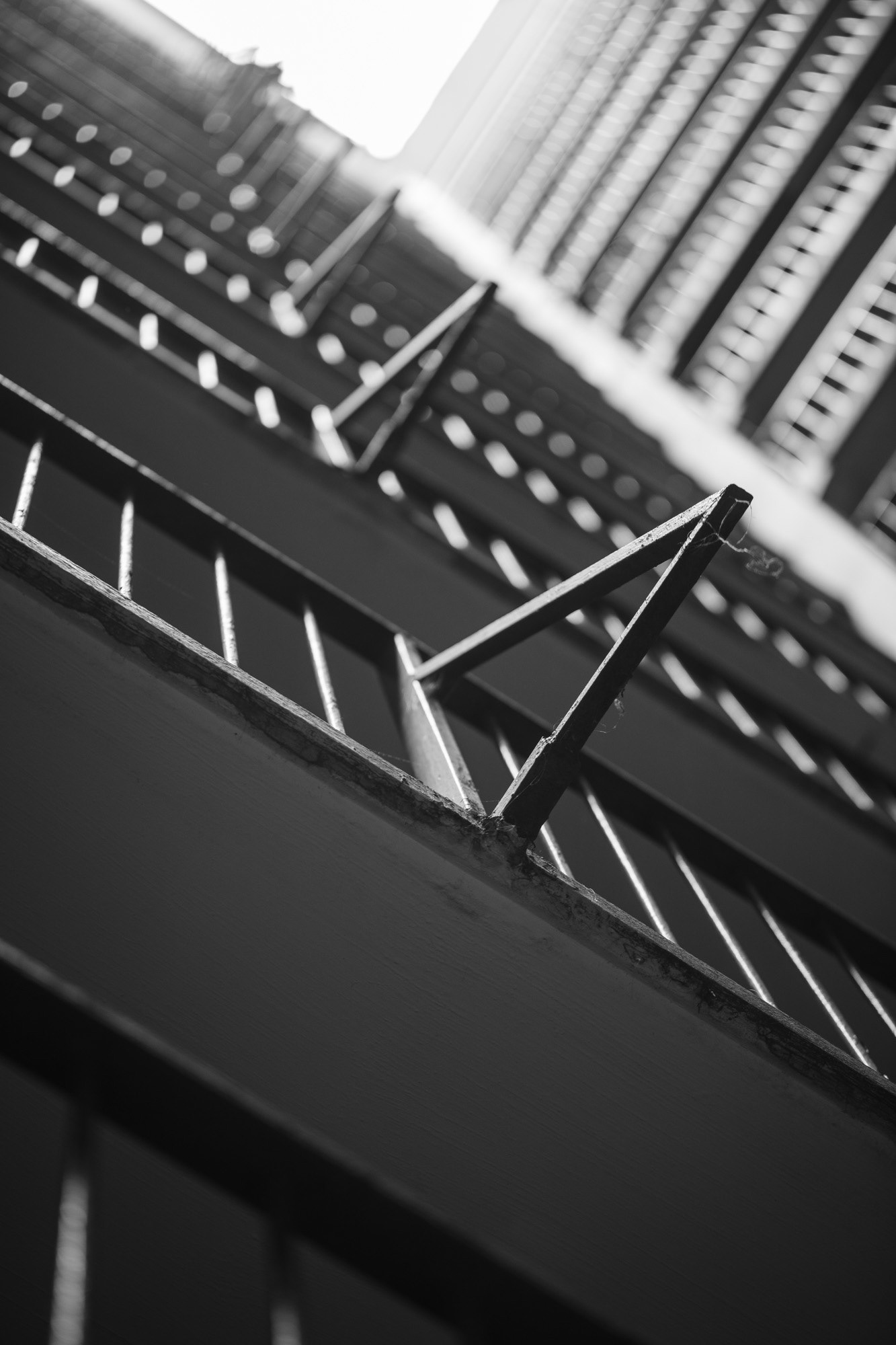 Shapes of Ordinary Lives