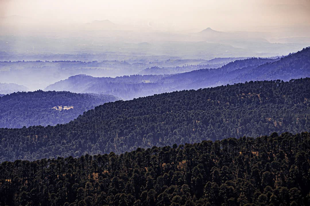 Las pintas entre vida, neblina y alegria.