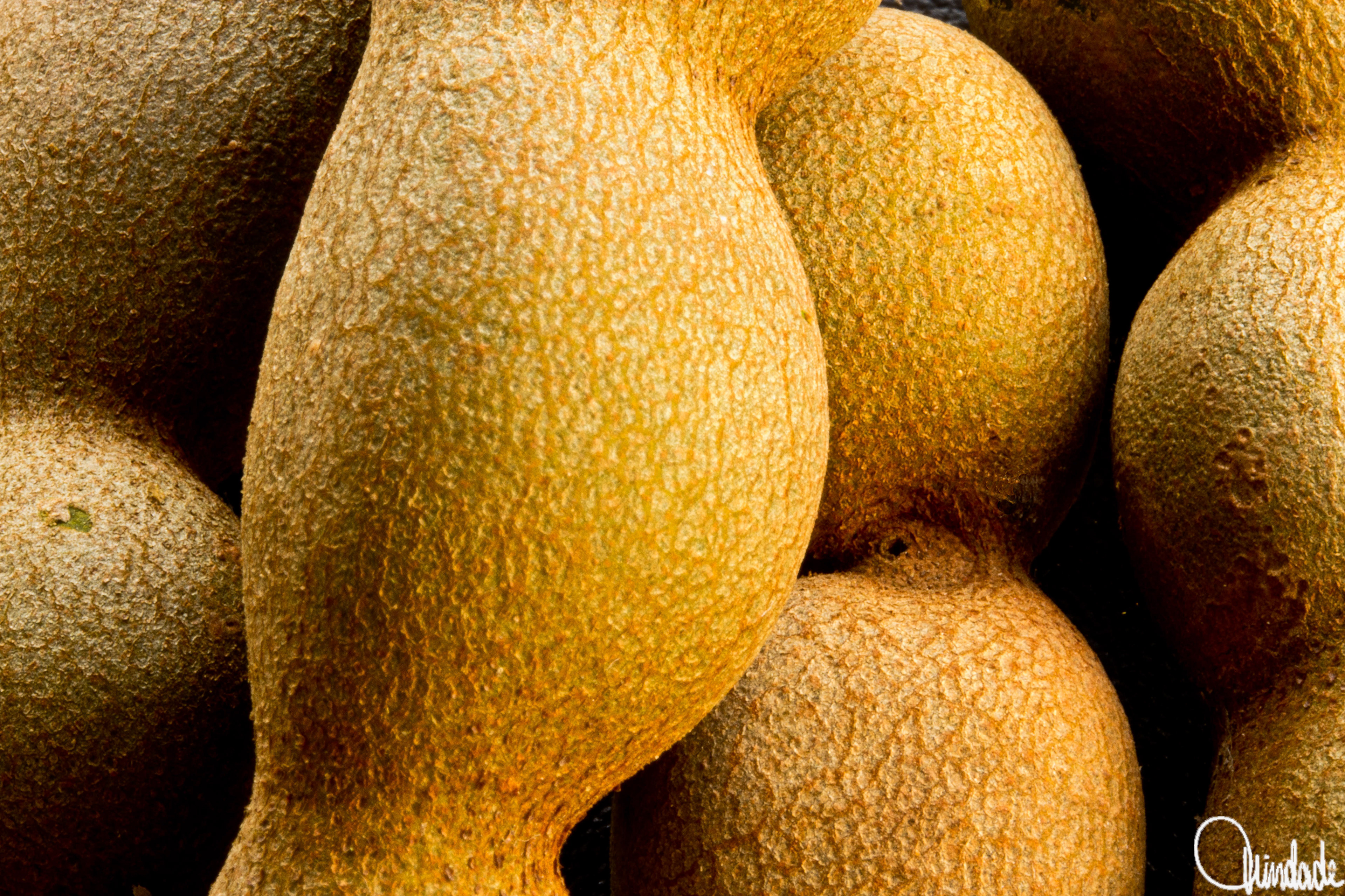 Close de vagens de tamarindo secas, agrupadas em tons de marrom claro. Superfície rugosa e formas arredondadas criam textura natural e composição abstrata.