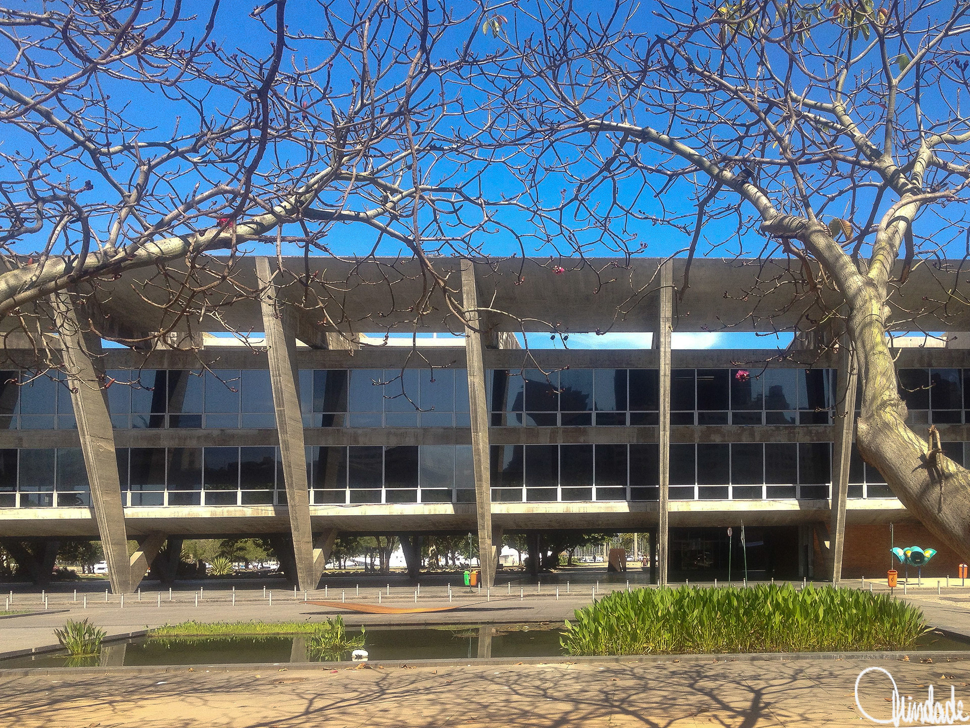 Edifício modernista em concreto aparente, com grandes apoios verticais e amplas janelas de vidro. Estrutura geométrica integrada ao paisagismo do Parque do Flamengo, com árvores sem folhas e lago em primeiro plano sob céu azul.