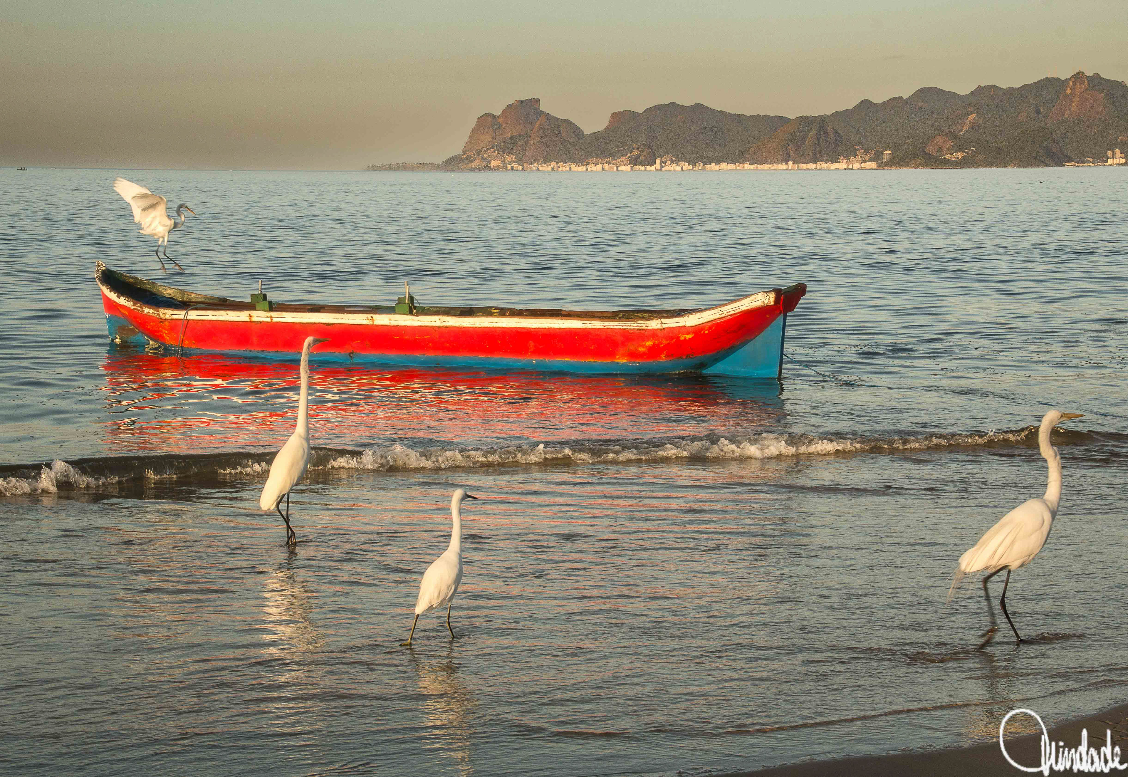 Barco de madeira vermelho e azul flutuando em águas calmas próximo à costa, com quatro garças brancas na beira d’água e uma pousada na borda do barco, tendo montanhas e cidade ao fundo iluminados pela luz suave do amanhecer."Barco de madeira vermelho e azul flutuando em águas calmas próximo à costa, com quatro garças brancas na beira d’água e uma pousada na borda do barco, tendo montanhas e cidade ao fundo iluminados pela luz suave do amanhecer.
