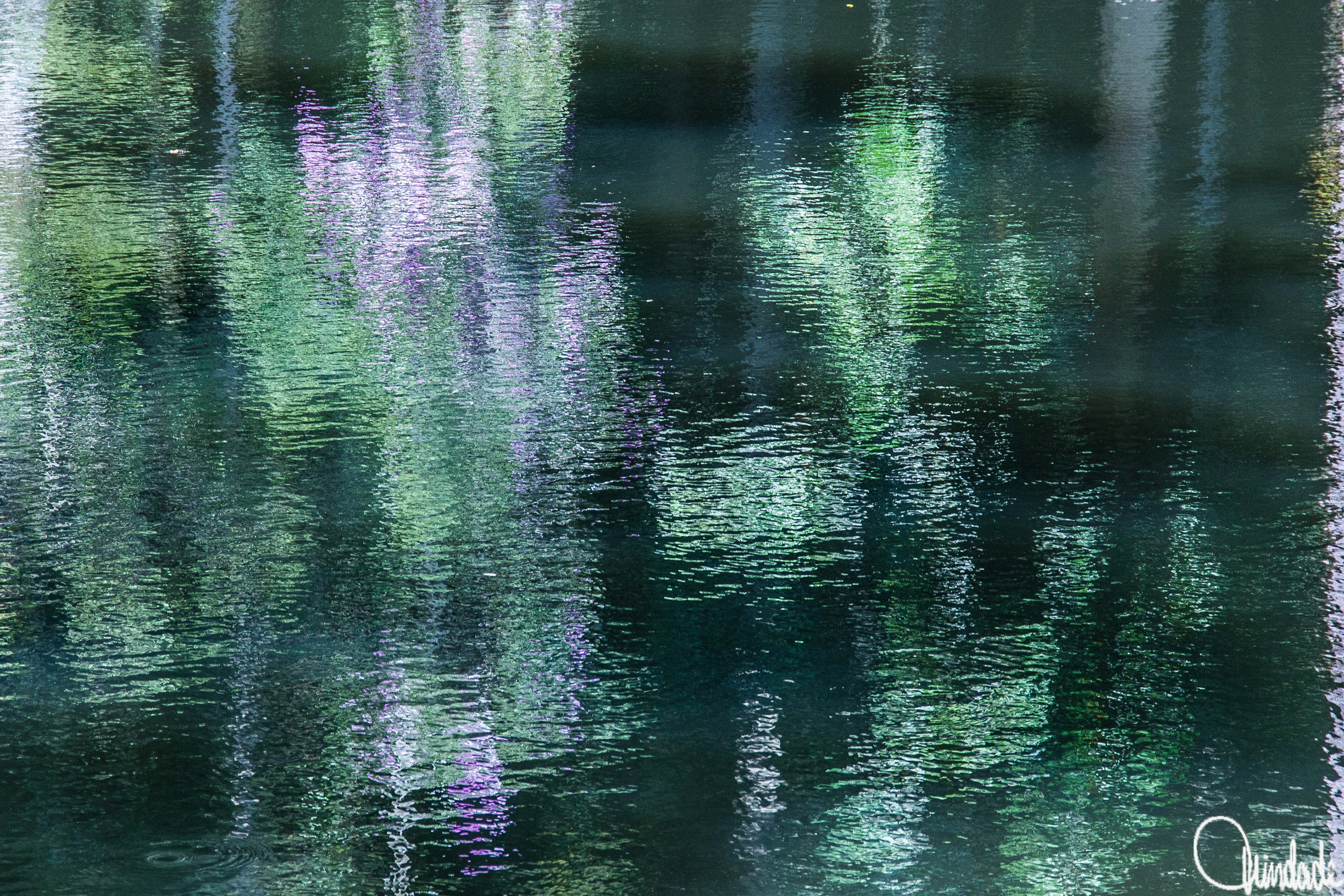 Reflexo colorido da vegetação sobre a superfície calma da Lagoa de Marapendi. Tons de verde, azul e roxo se misturam em padrões abstratos com leves ondulações na água.