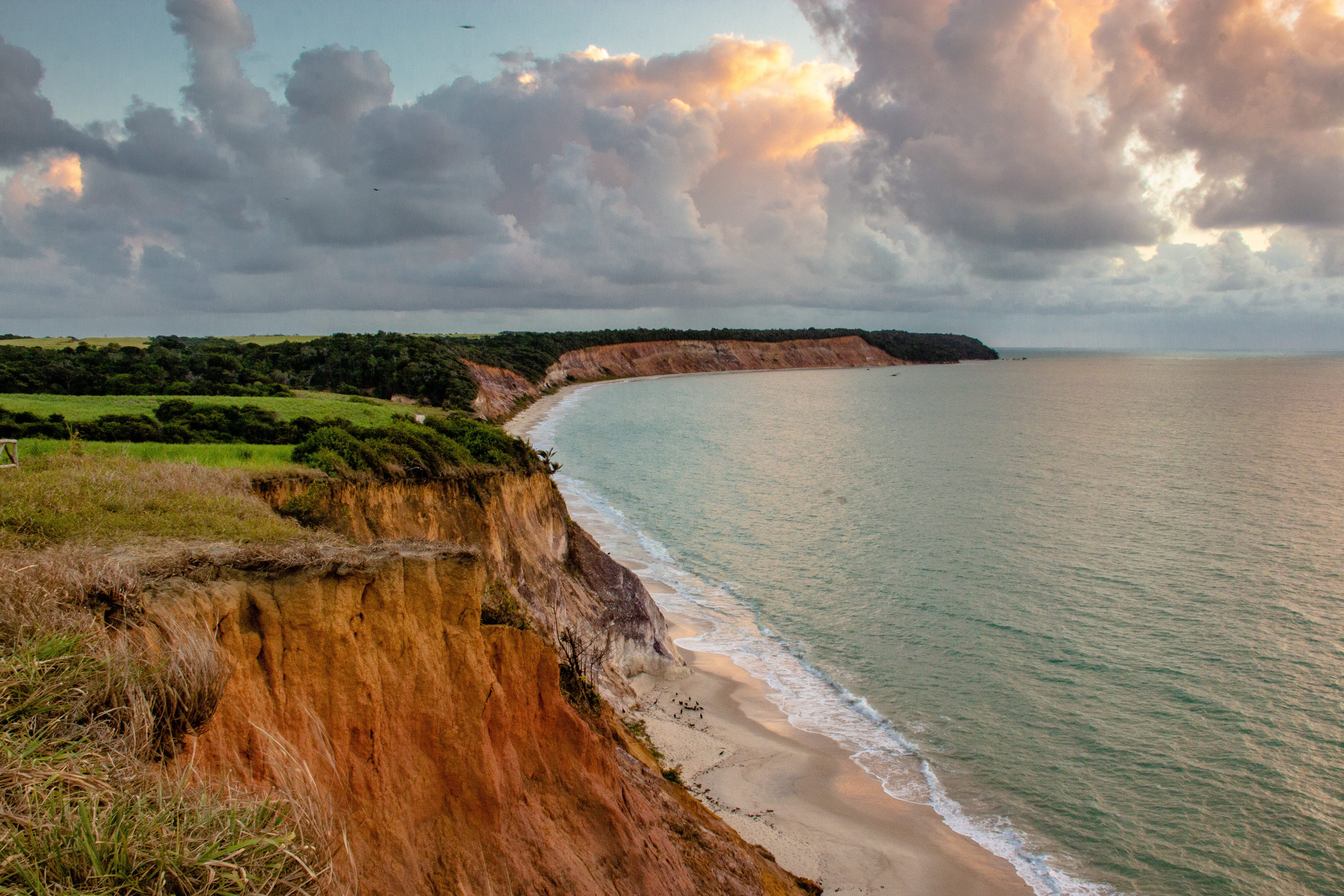    "Falésias de Barra de Santo Antônio em Alagoas com paredões avermelhados sobre praia de areia clara, mar calmo ao fundo e vegetação verde no topo das rochas sob céu parcialmente nublado.