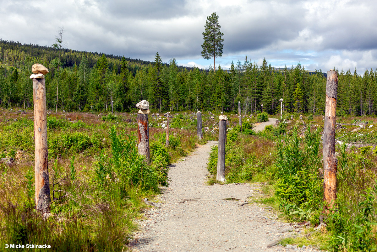 Vandring till Fettjeåfallet (2025).