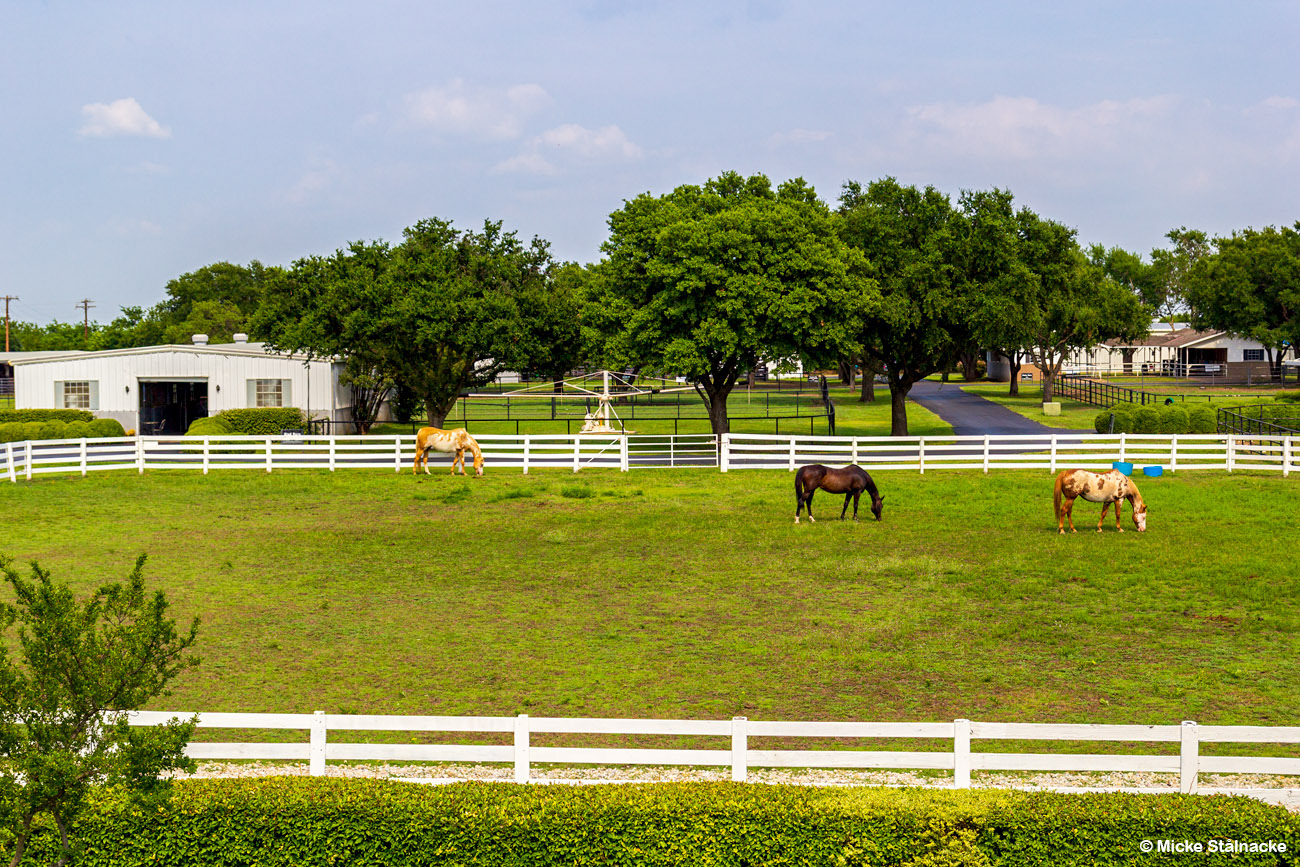 Southfork Ranch i "Dallas" (1978-1991). Plano, USA (2014).