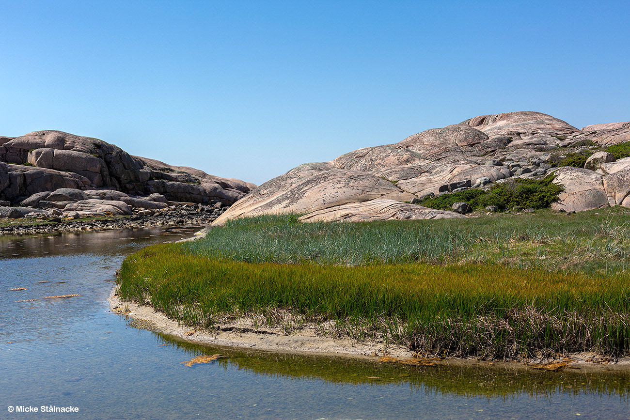 Tjurpannans naturreservat (2024).