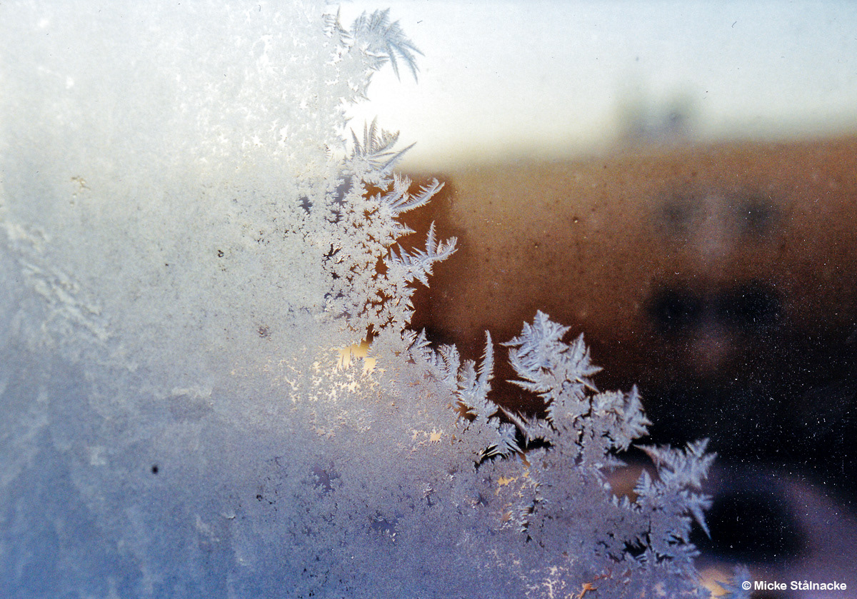 Frost på fönstret på Hantverkaregatan i Kiruna, troligtvis vintern 2002.