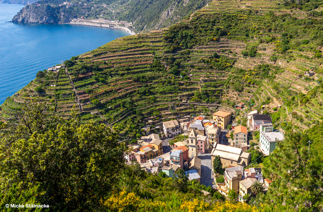 Cinque Terre, Italien (2016).