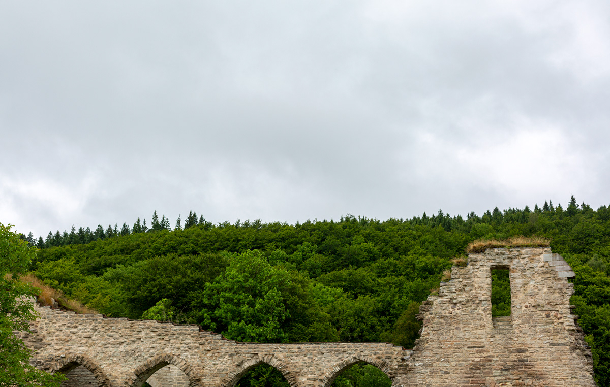 Alvastra klosterruin (2025).