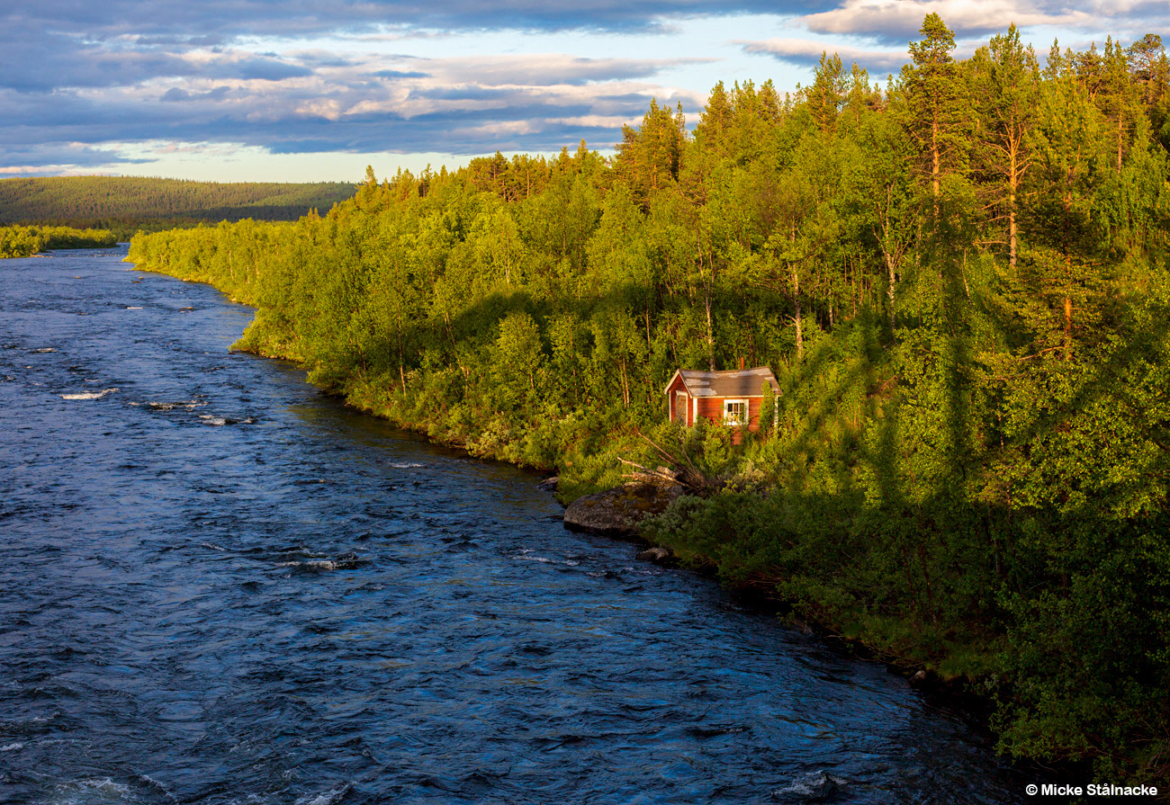 Från Kalixforsbron (2019).