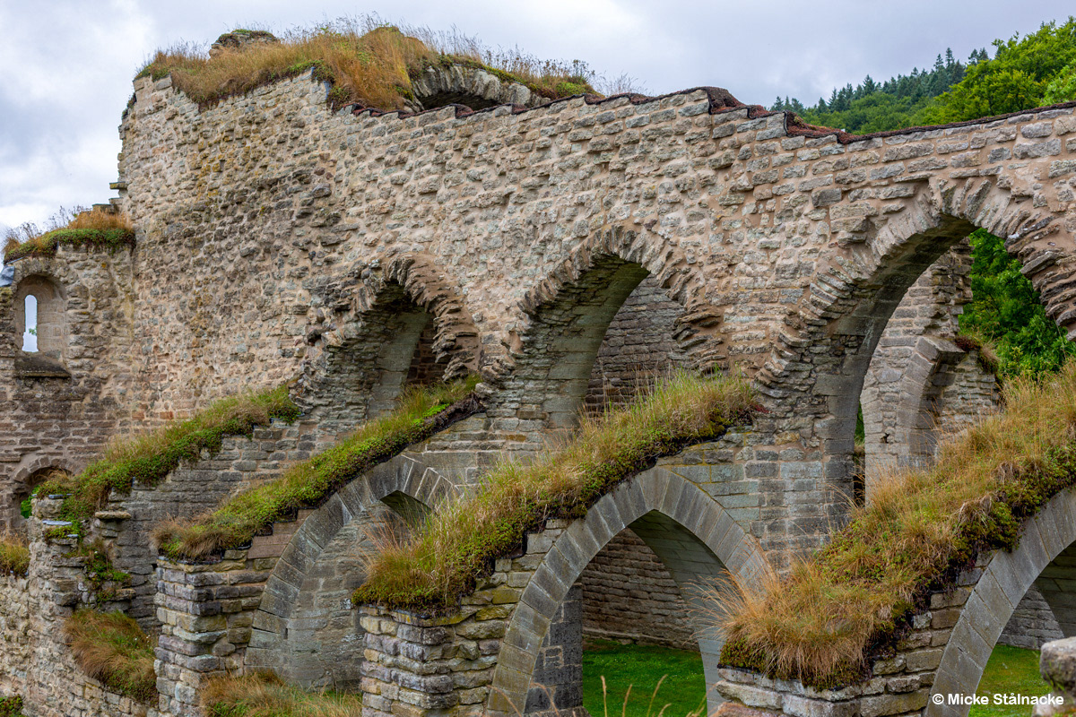 Alvastra klosterruin (2025).