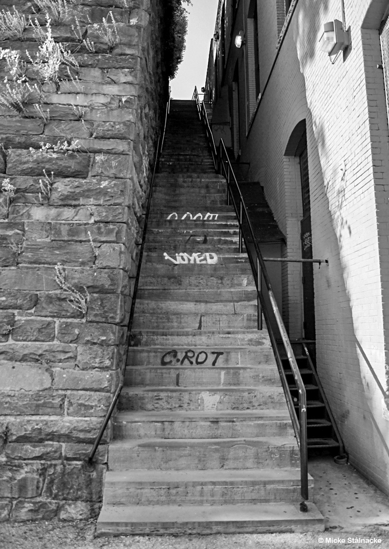 Trappan ur William Friedkins "The Exorcist" (1973). Washington DC, USA (2014).