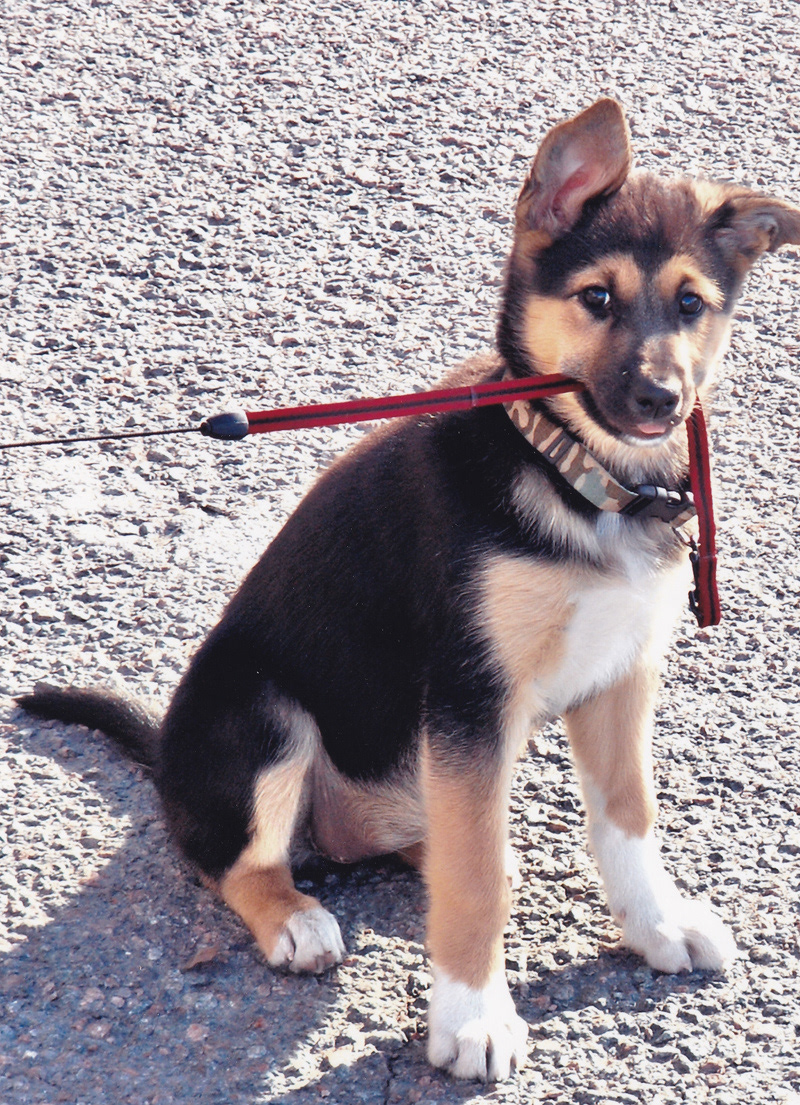 Matilda, våren 2005. Foto: Birgitta Isacsson.