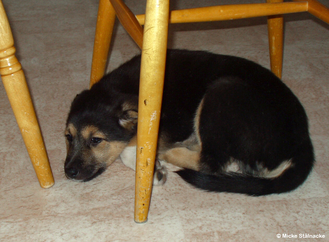 Första kvällen och den allra första bilden. Kiruna, 25 april 2005.