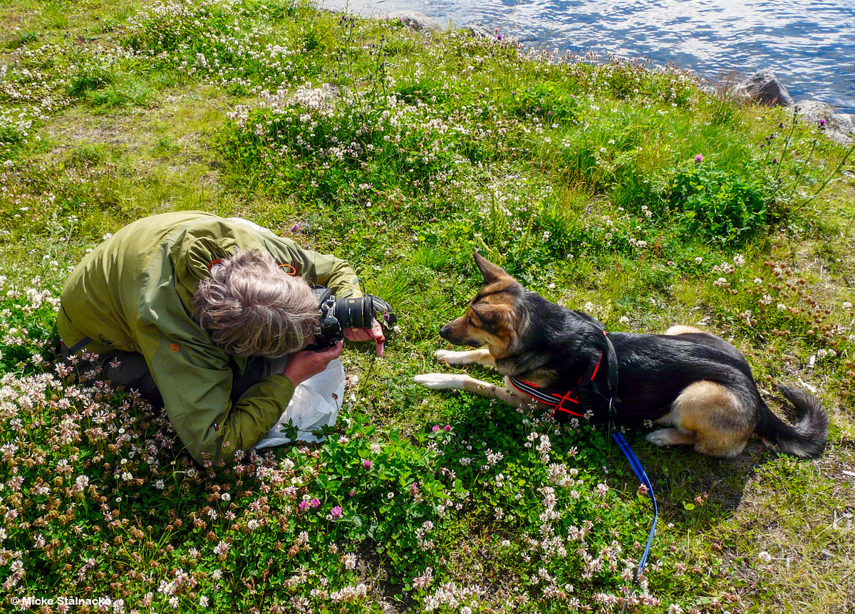 Fotosession i Jukkasjärvi med gudmatte, sommaren 2008.