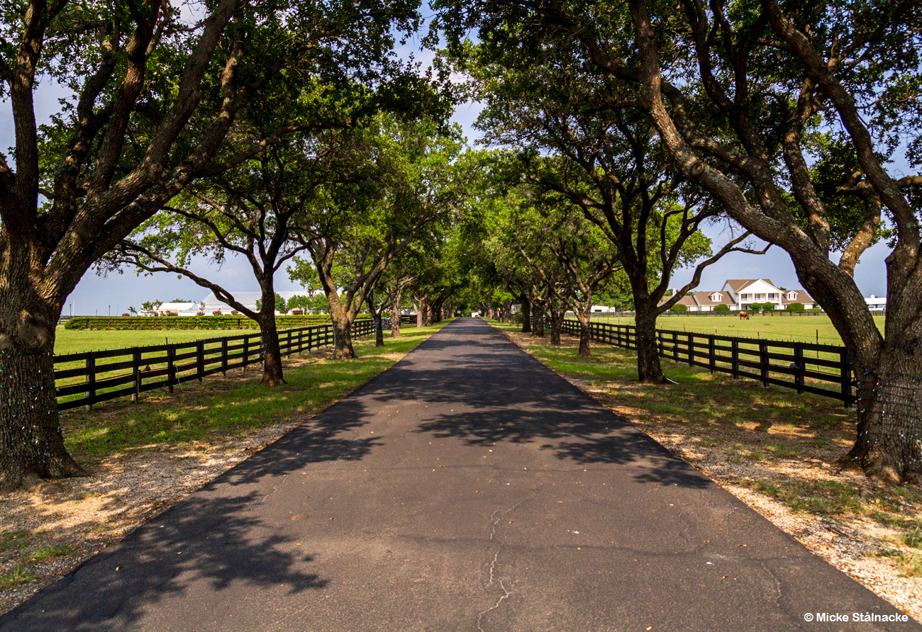 Southfork Ranch i "Dallas" (1978-1991). Plano, USA (2014).