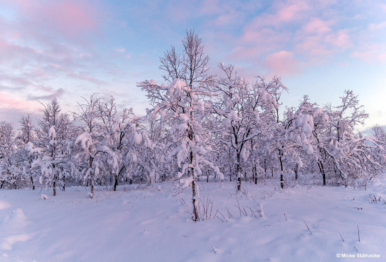 Kiruna.