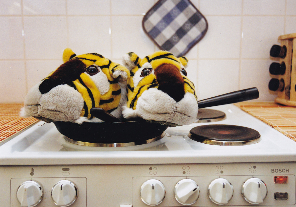 De kidnappade tigertofflorna, hösten 2003. Foto: Birgitta Isacsson.