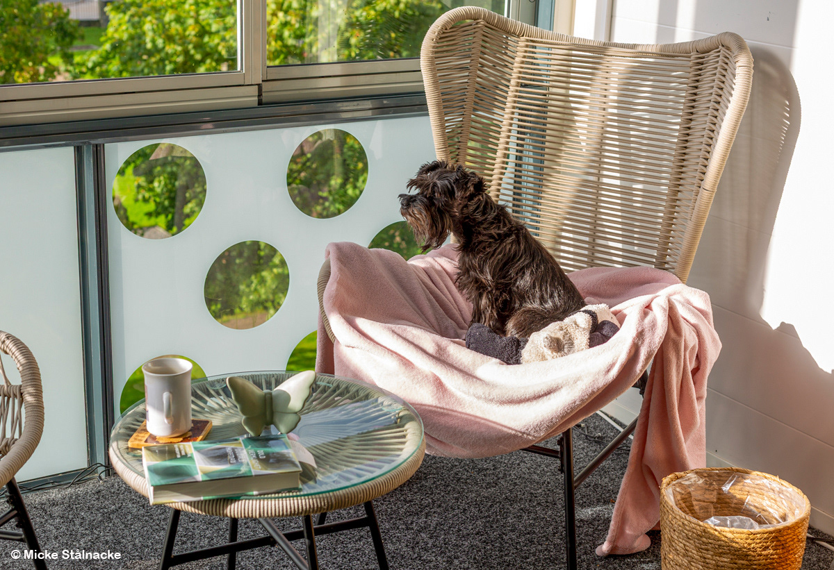 Lördagsmorgon med Svea.